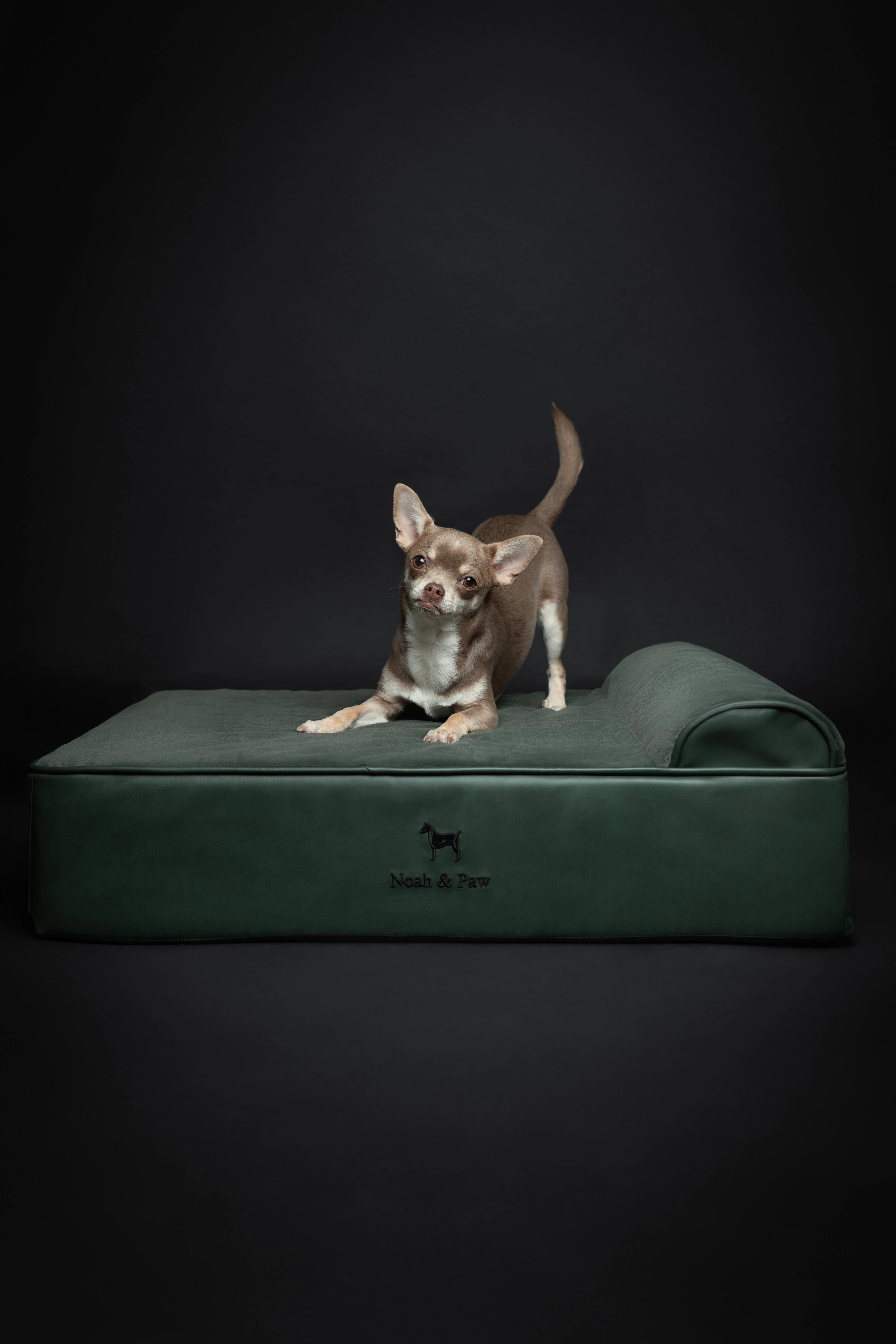 Orthopedic Faux Leather Pet Bed Classic Style - Dark Green - M