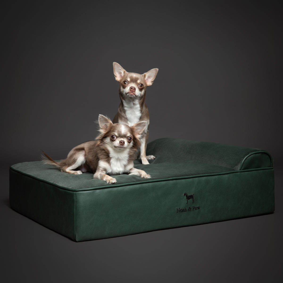Orthopedic Faux Leather Pet Bed Classic Style - Dark Green - M