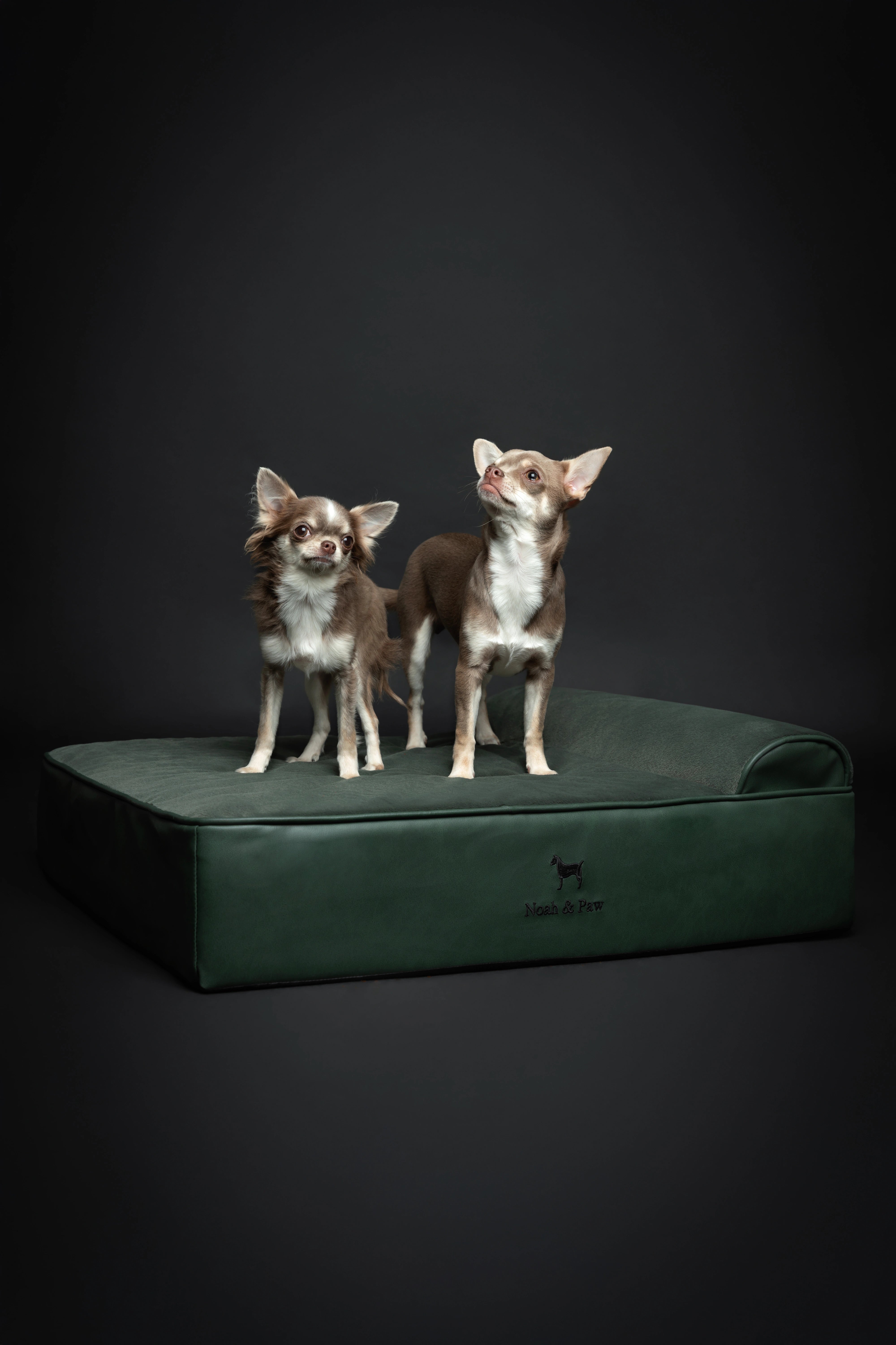 Orthopedic Faux Leather Pet Bed Classic Style - Dark Green - M