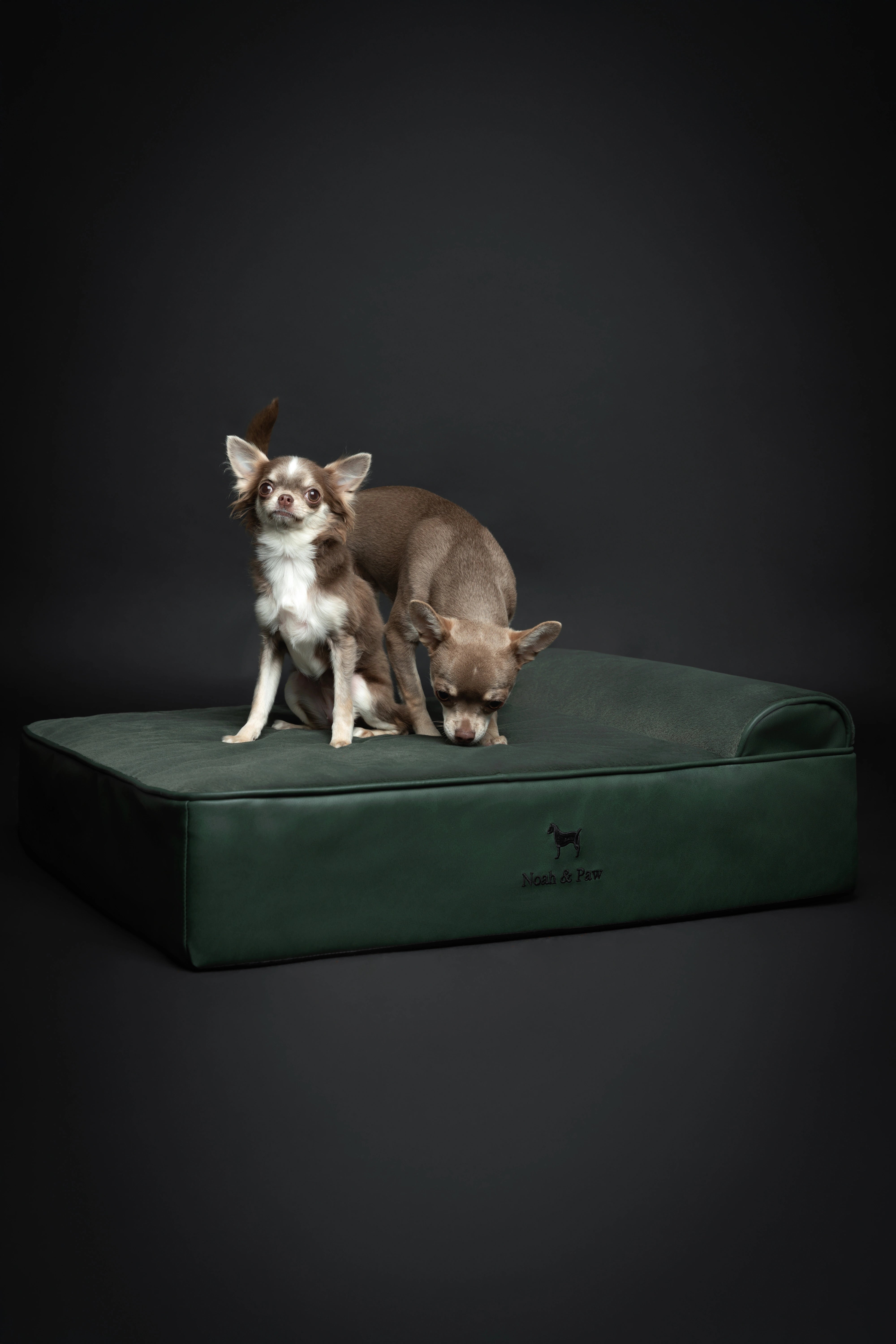 Orthopedic Faux Leather Pet Bed Classic Style - Dark Green - M