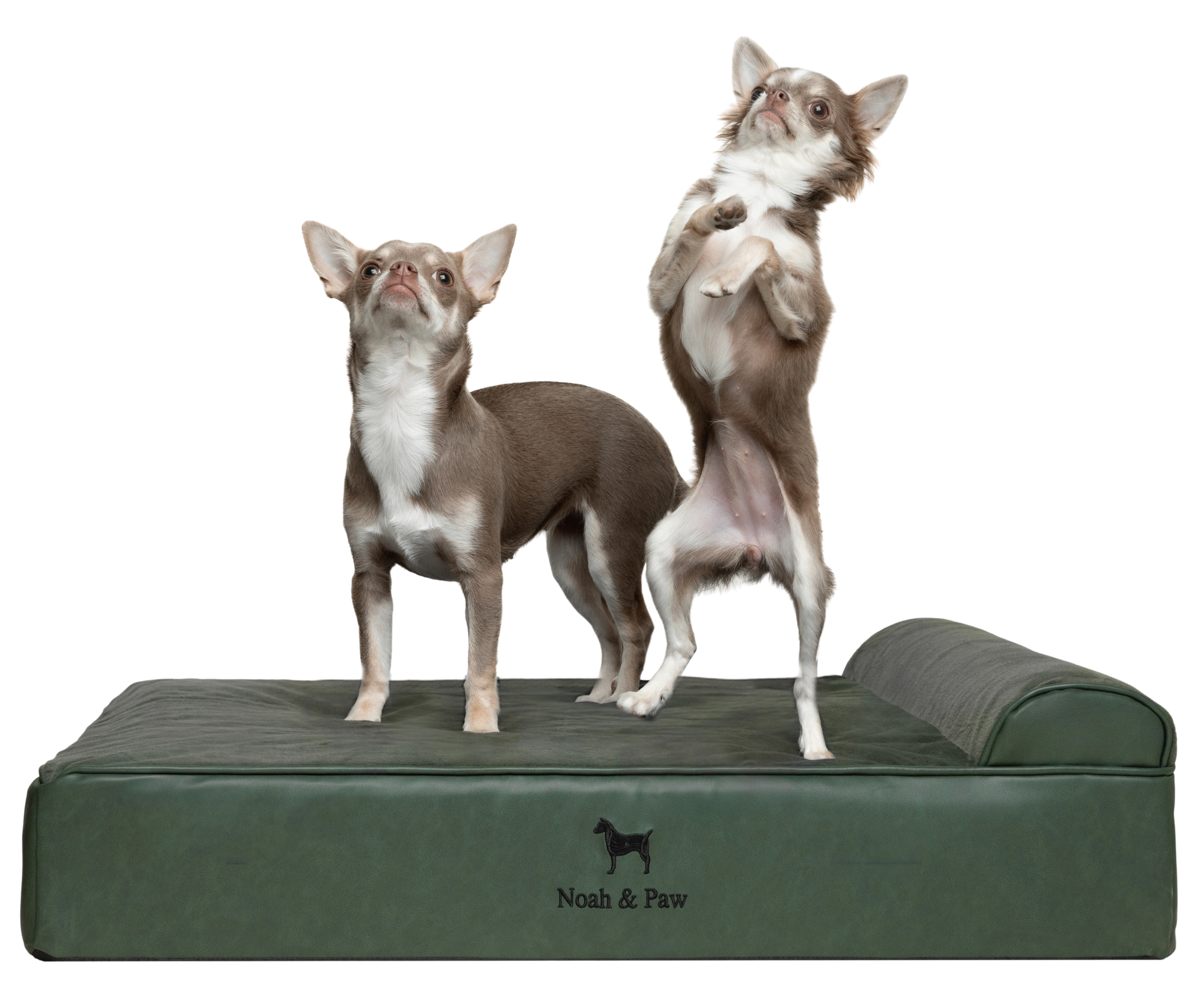 Orthopedic Faux Leather Pet Bed Classic Style - Dark Green - M