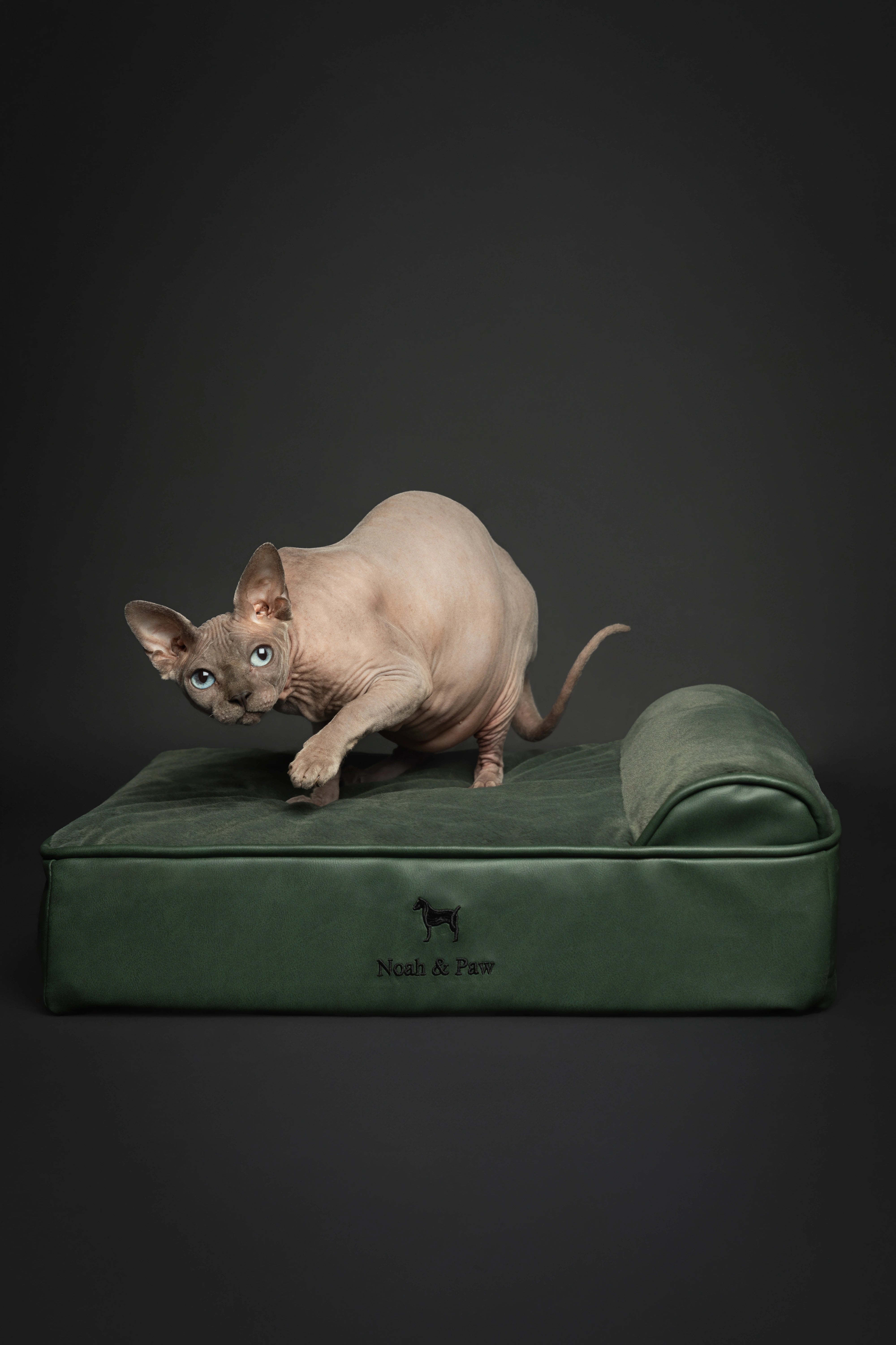 Orthopedic Faux Leather Pet Bed Classic Style - Dark Green - S