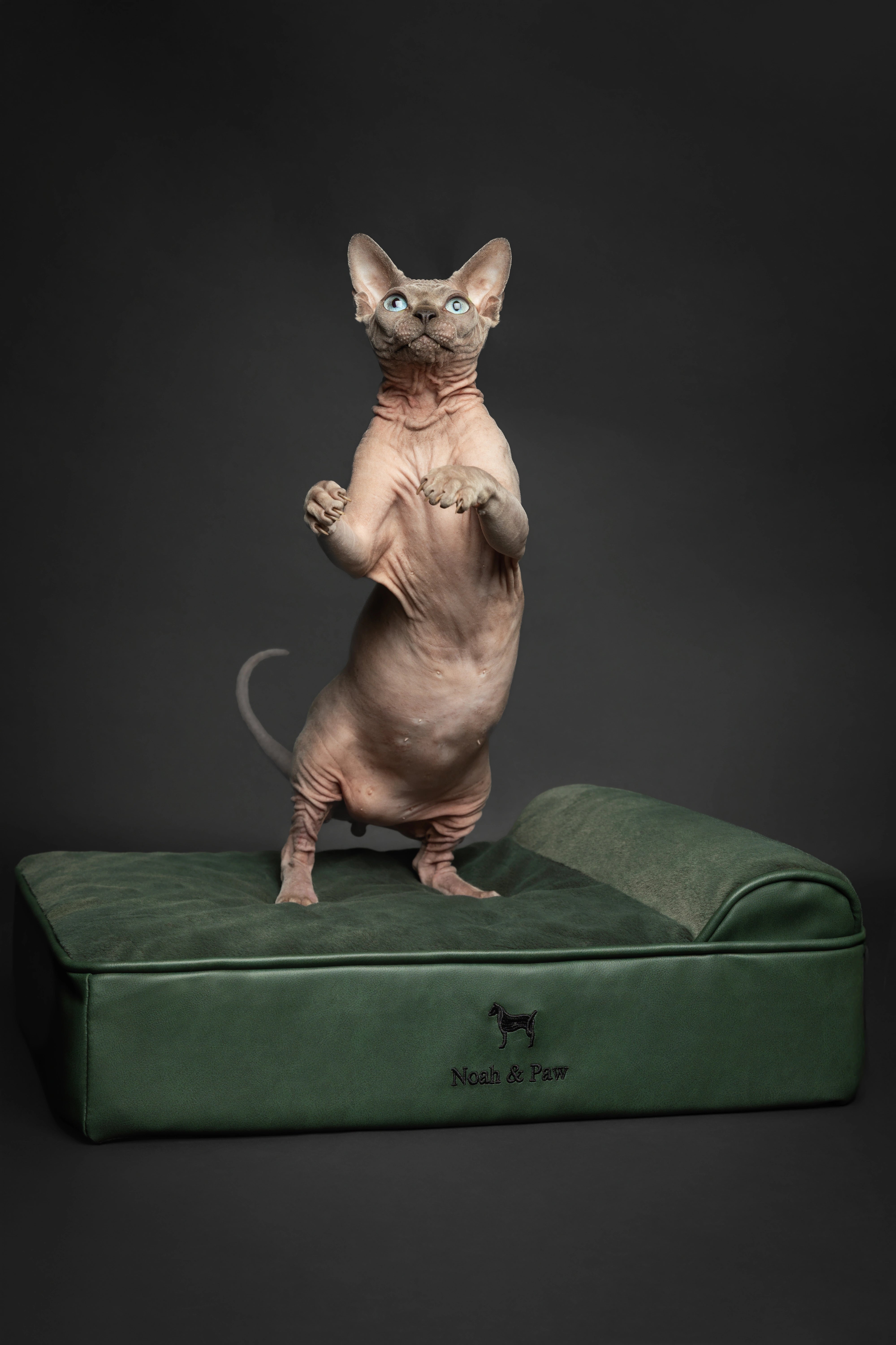 Orthopedic Faux Leather Pet Bed Classic Style - Dark Green - S