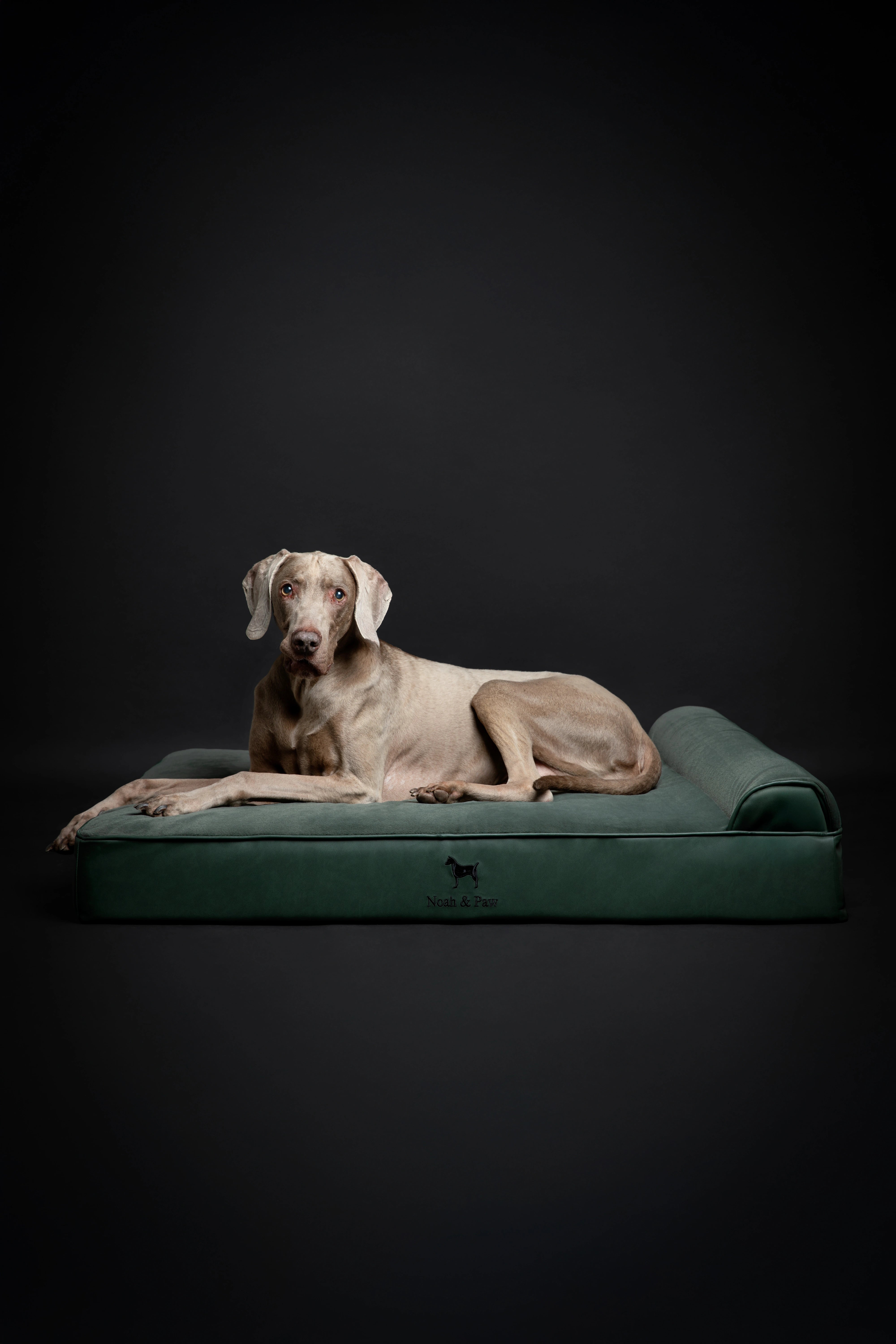 Orthopedic Faux Leather Pet Bed Classic Style - Dark Green - XL