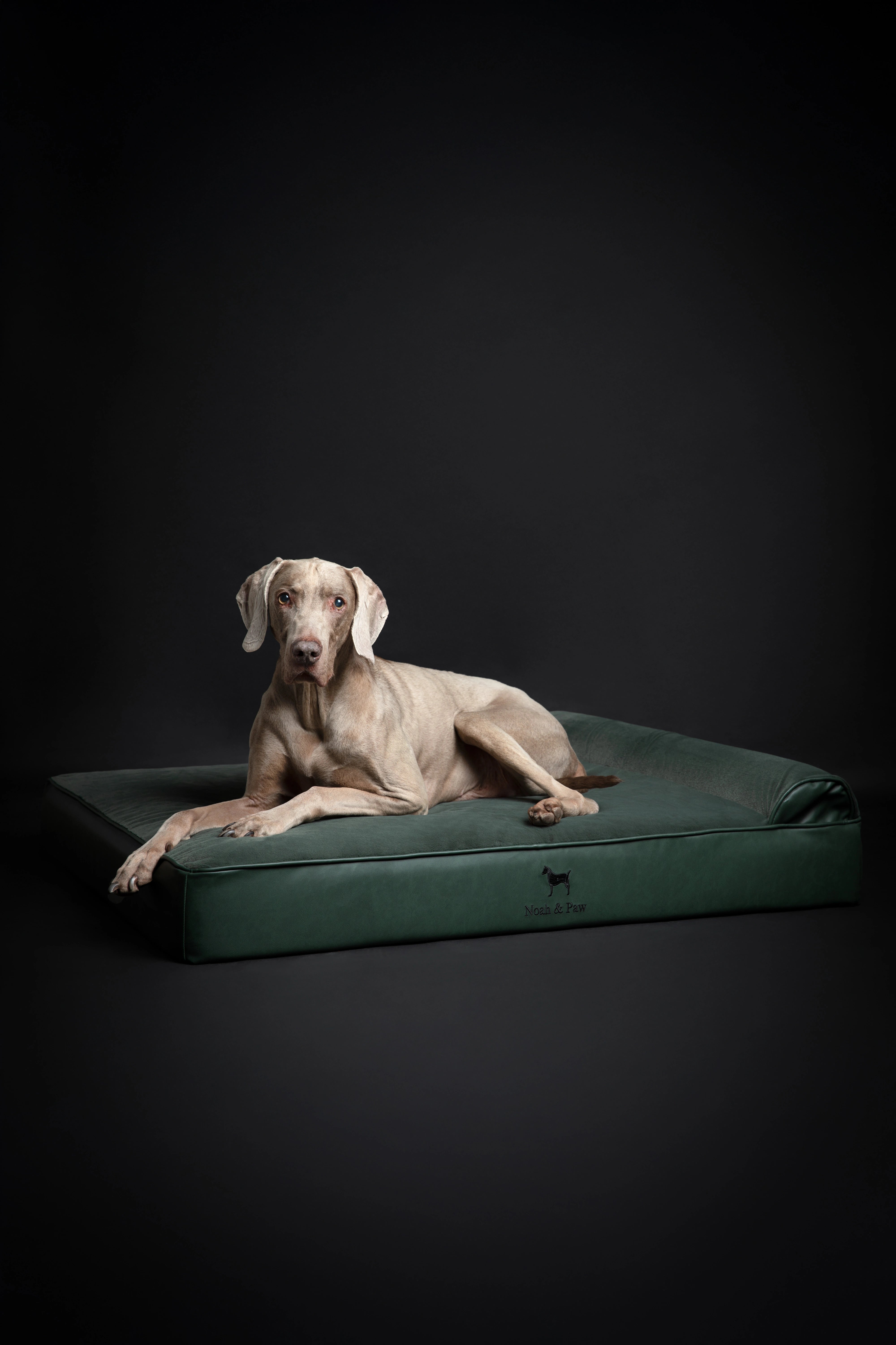Orthopedic Faux Leather Pet Bed Classic Style - Dark Green - XL