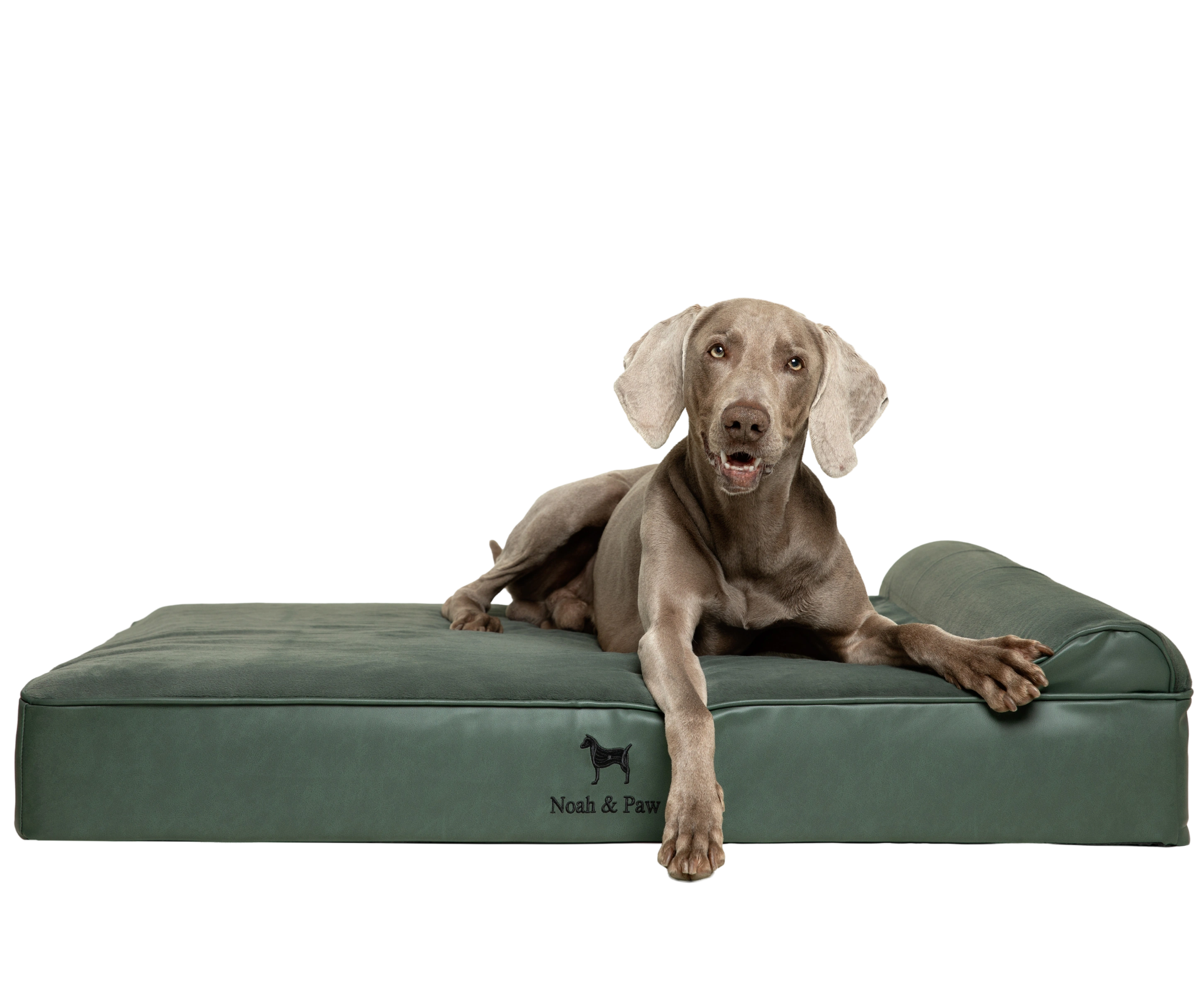 Orthopedic Faux Leather Pet Bed Classic Style - Dark Green - XL