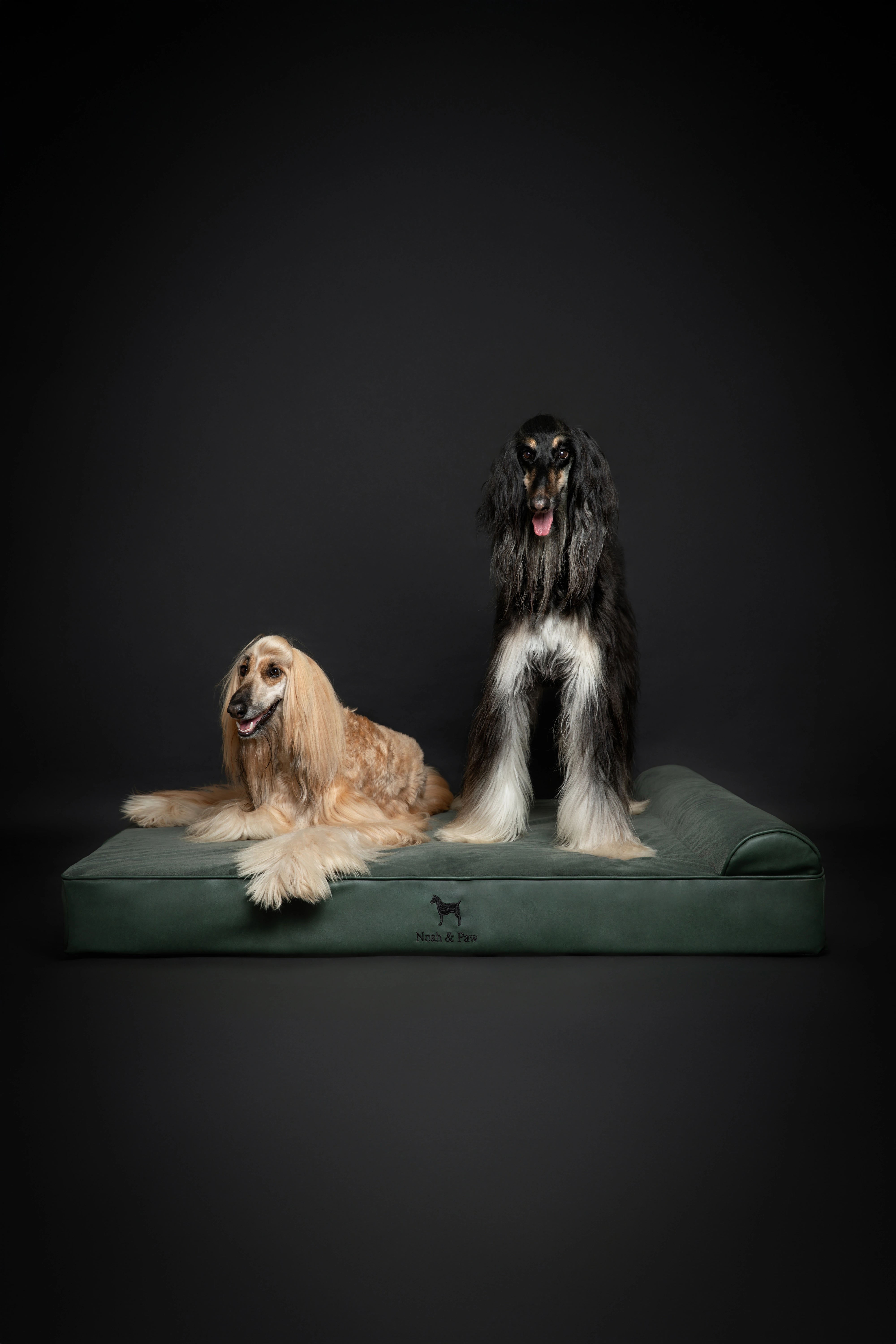 Orthopedic Faux Leather Pet Bed Classic Style - Dark Green - XXL