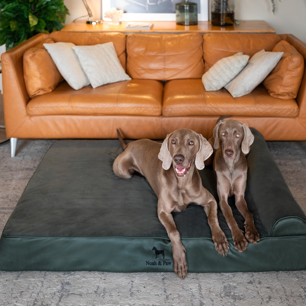 Noah & Paw orthopedic classic dog bed in faux leather with memory foam and cooling gel, dark green, size XXL (55 x 45 x 9.5 in)