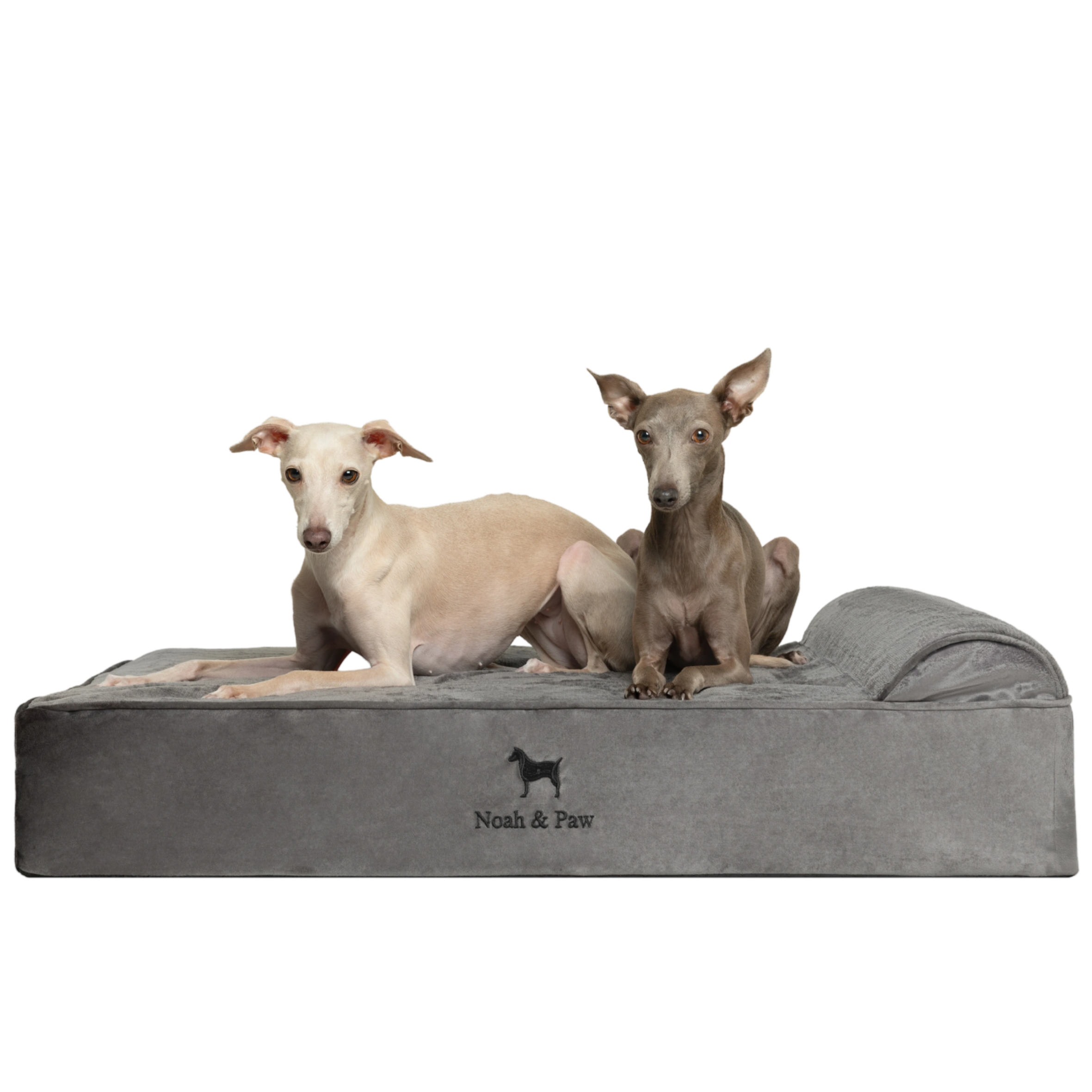 Velvet, Orthopedic Pet Bed, Classic Style - Grey - L