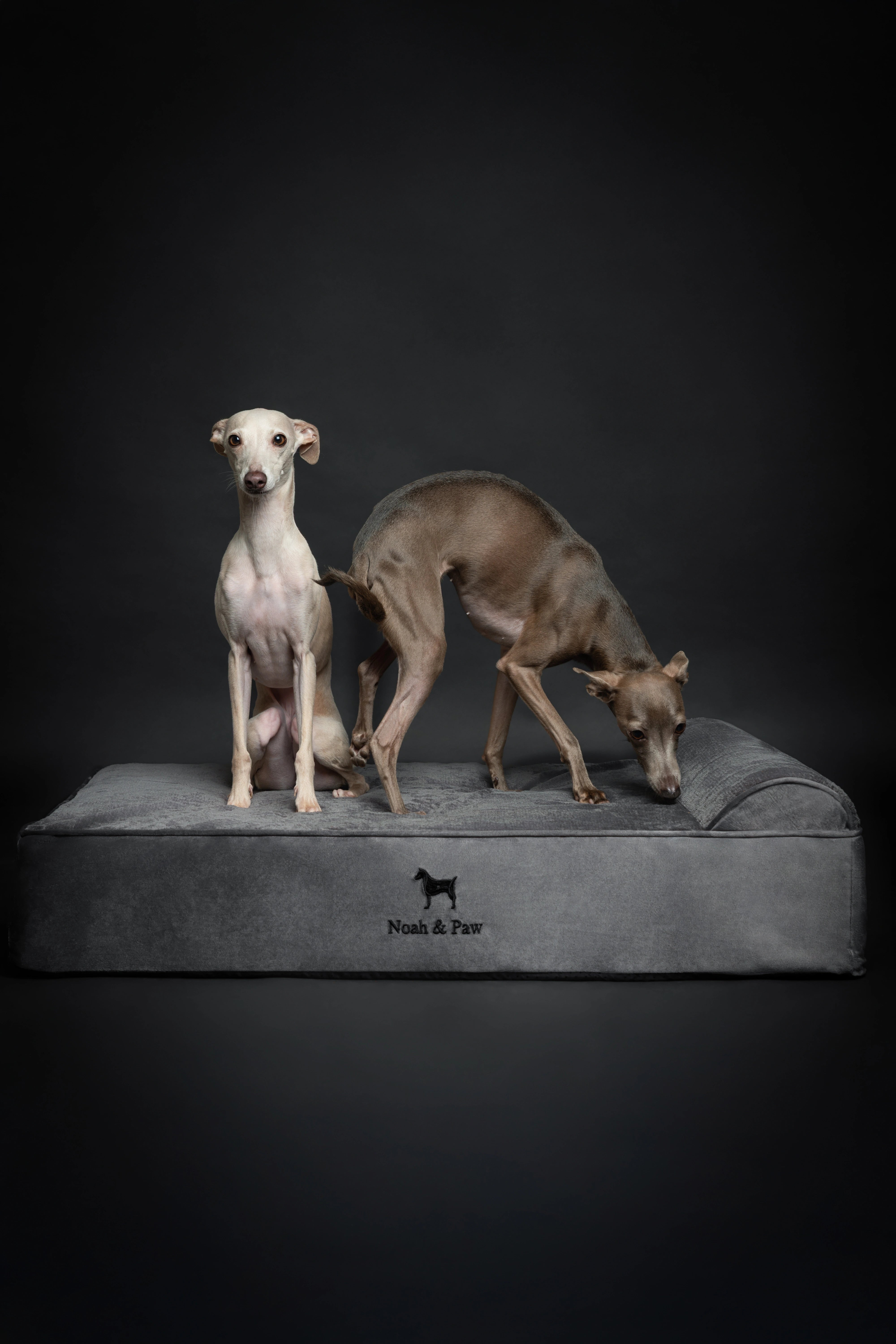 Velvet, Orthopedic Pet Bed, Classic Style - Grey - L
