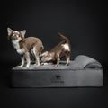 Velvet Orthopedic Pet Bed, Memory Foam, Infused with Cooling Gel - Classic