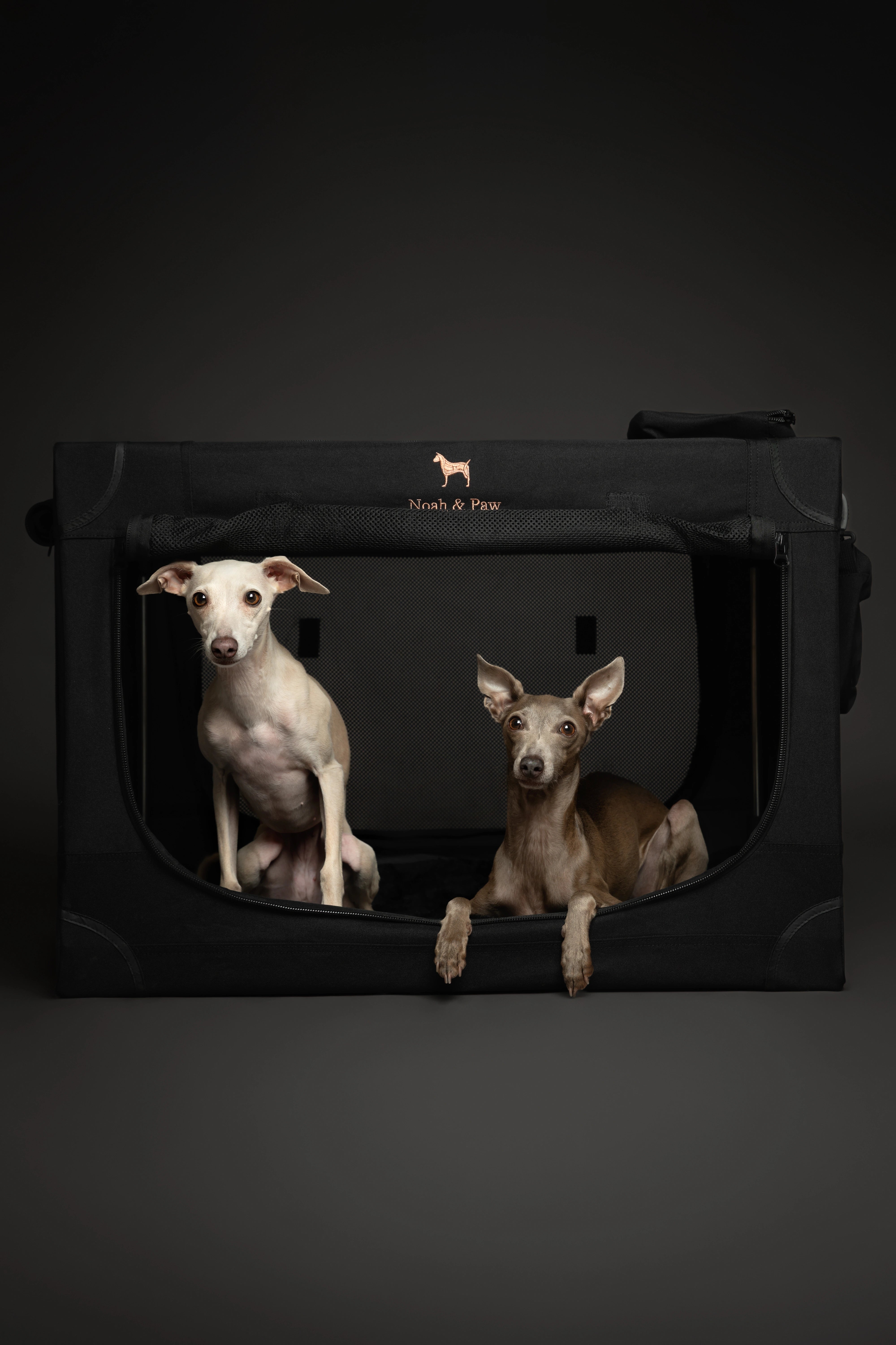 Collapsible dog crate travel | Foldable pet crate comfort - Black - L