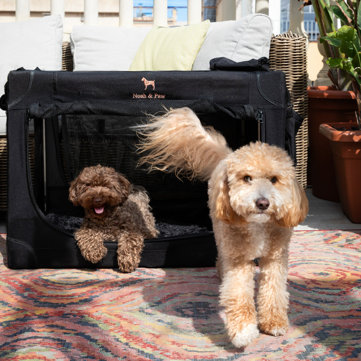 Collapsible dog crate travel | Foldable pet crate comfort - Black - L