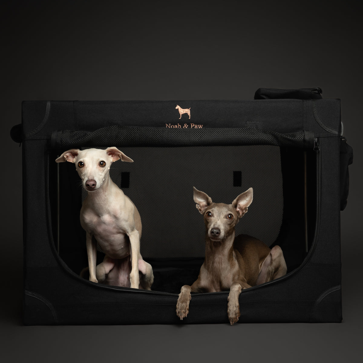 Collapsible dog crate travel | Foldable pet crate comfort - Black - L