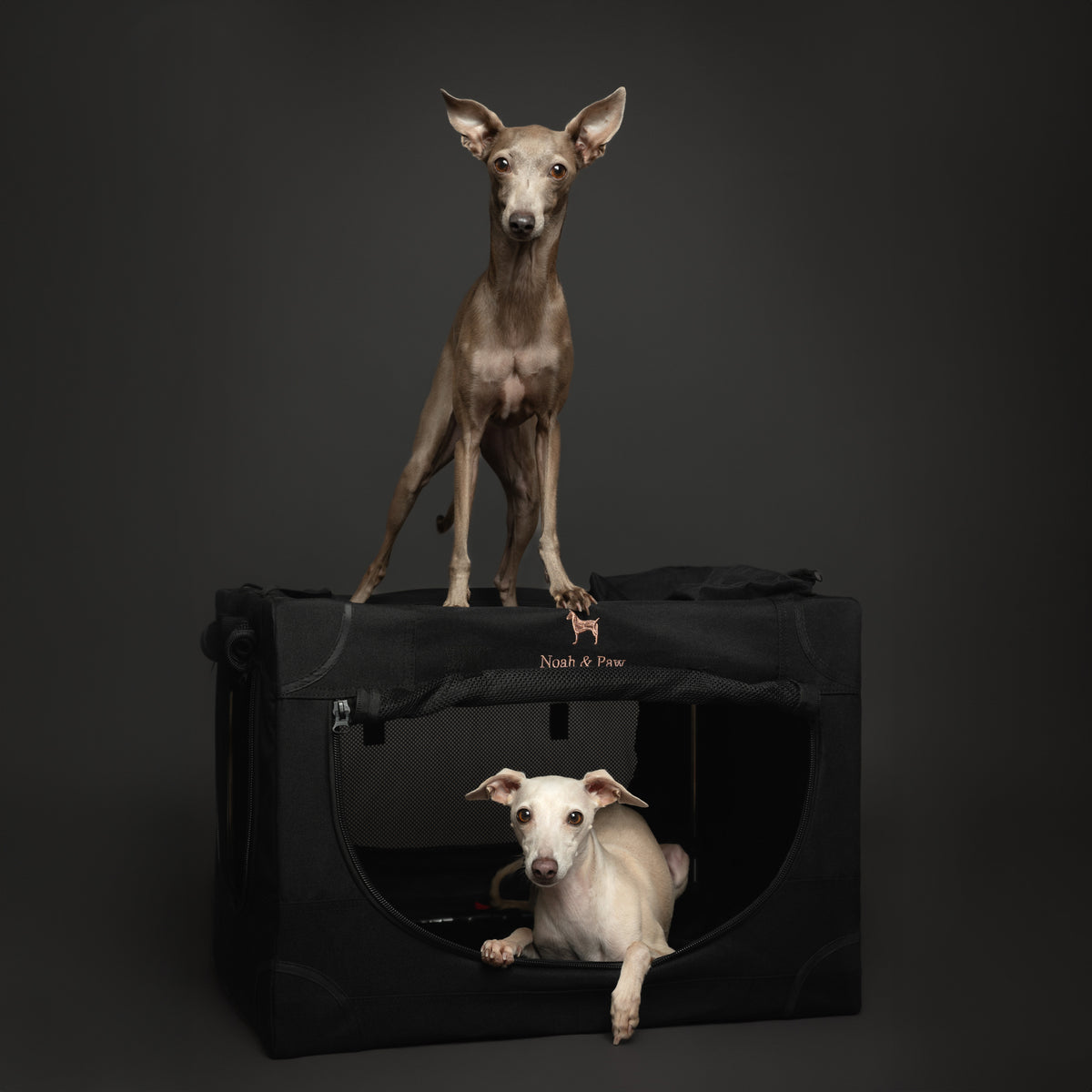 Collapsible dog crate travel | Foldable pet crate comfort - Black - M