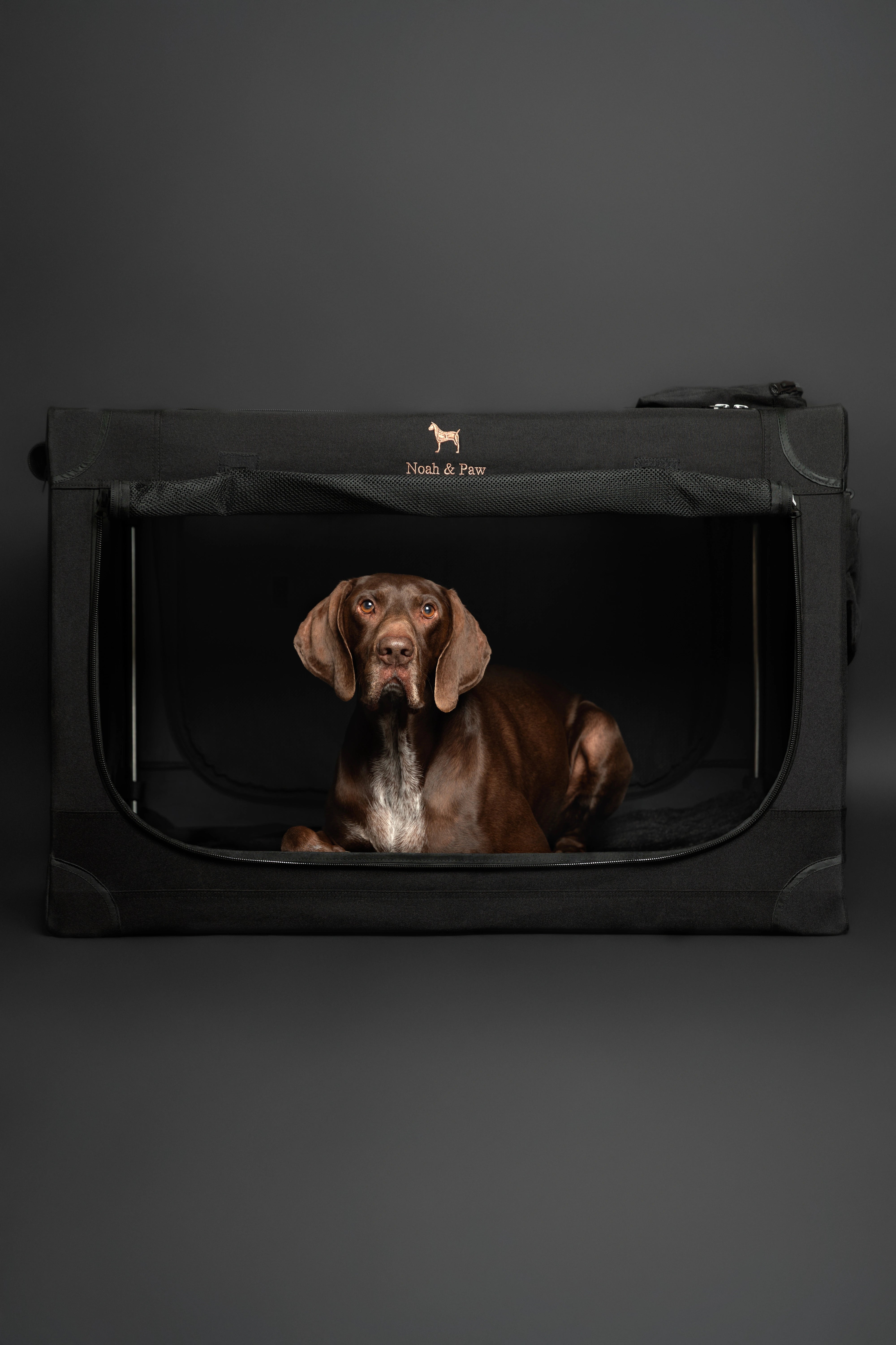 Collapsible dog crate travel | Foldable pet crate comfort - Black - XL
