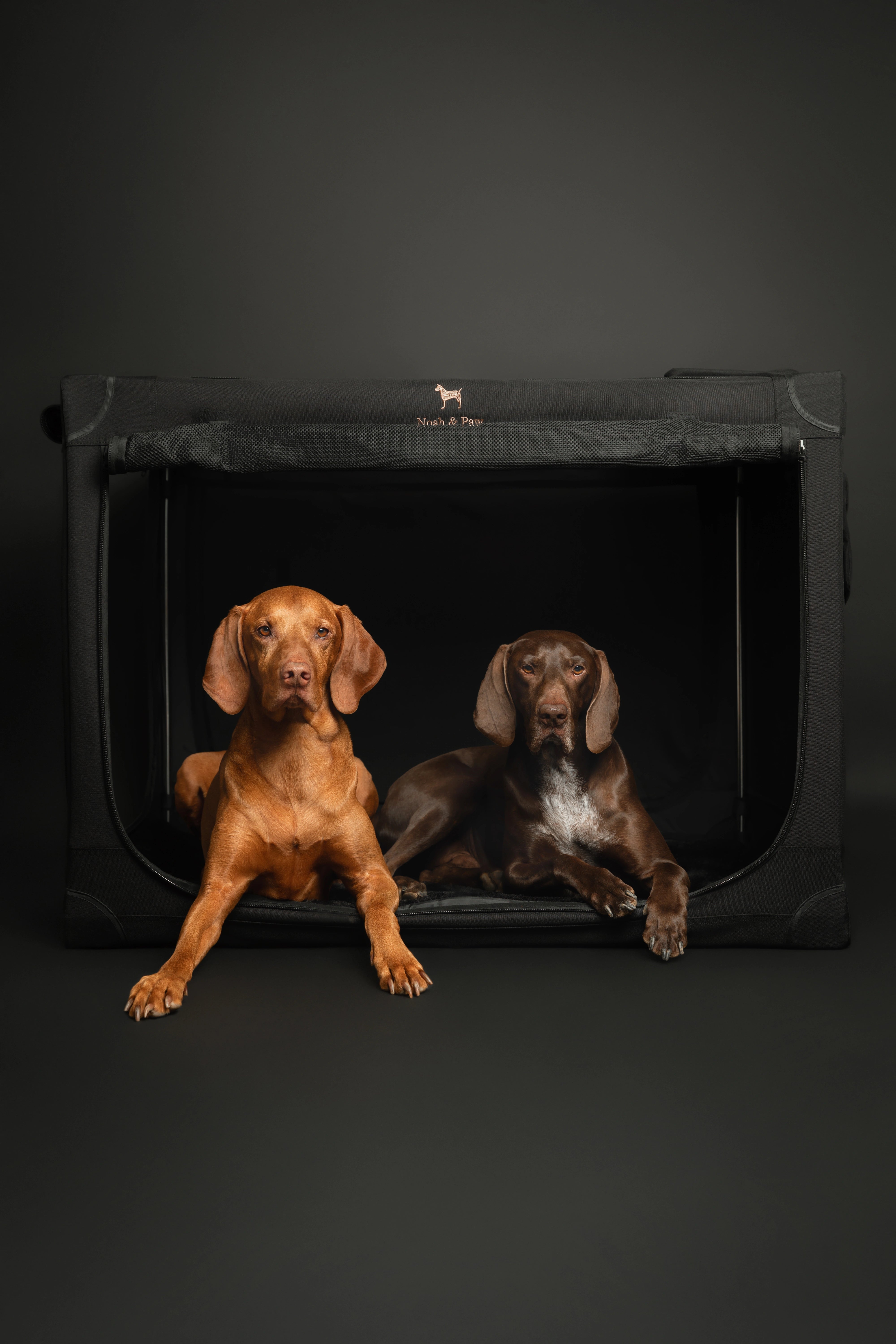 Collapsible dog crate travel | Foldable pet crate comfort - Black - XXL