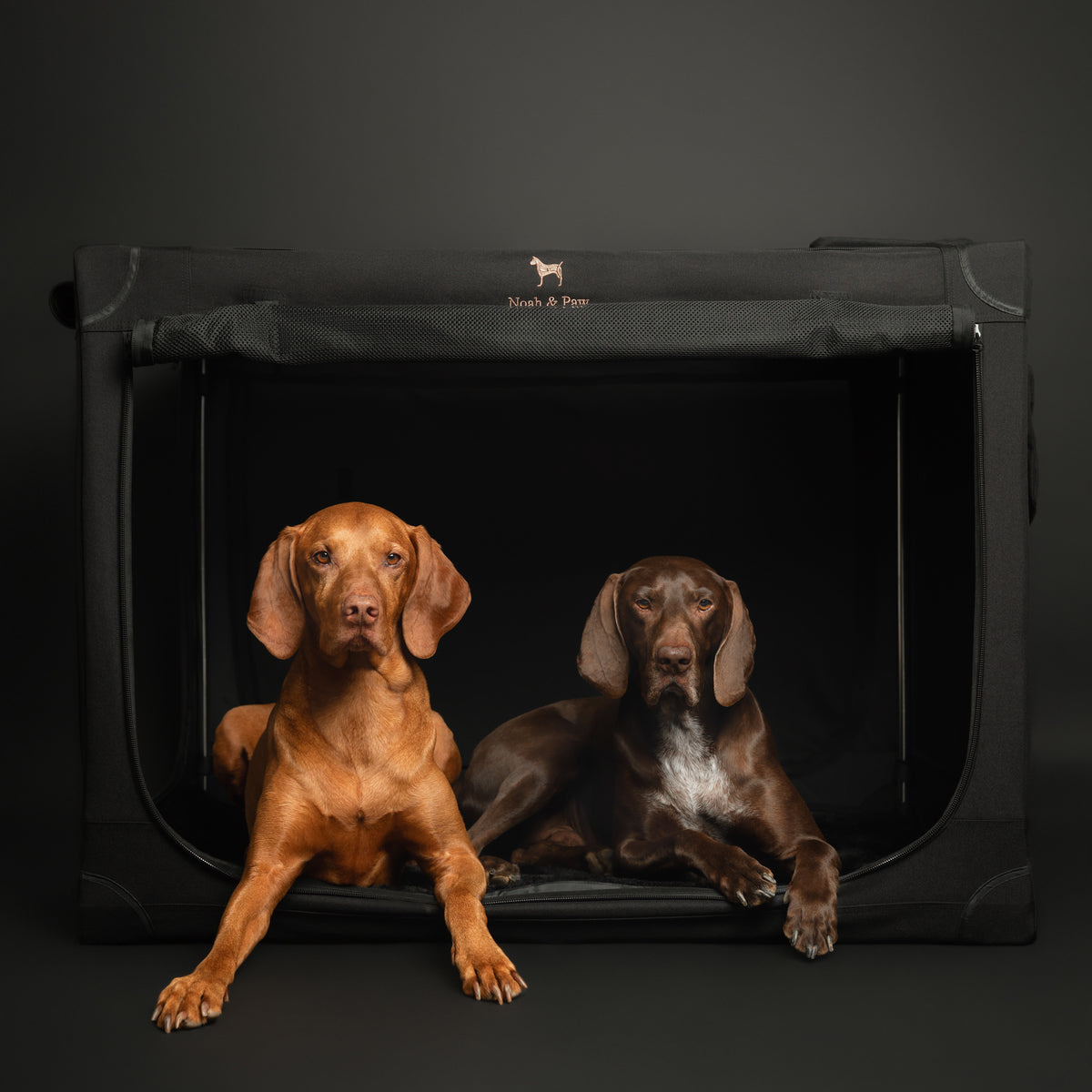 Collapsible dog crate travel | Foldable pet crate comfort - Black - XXL