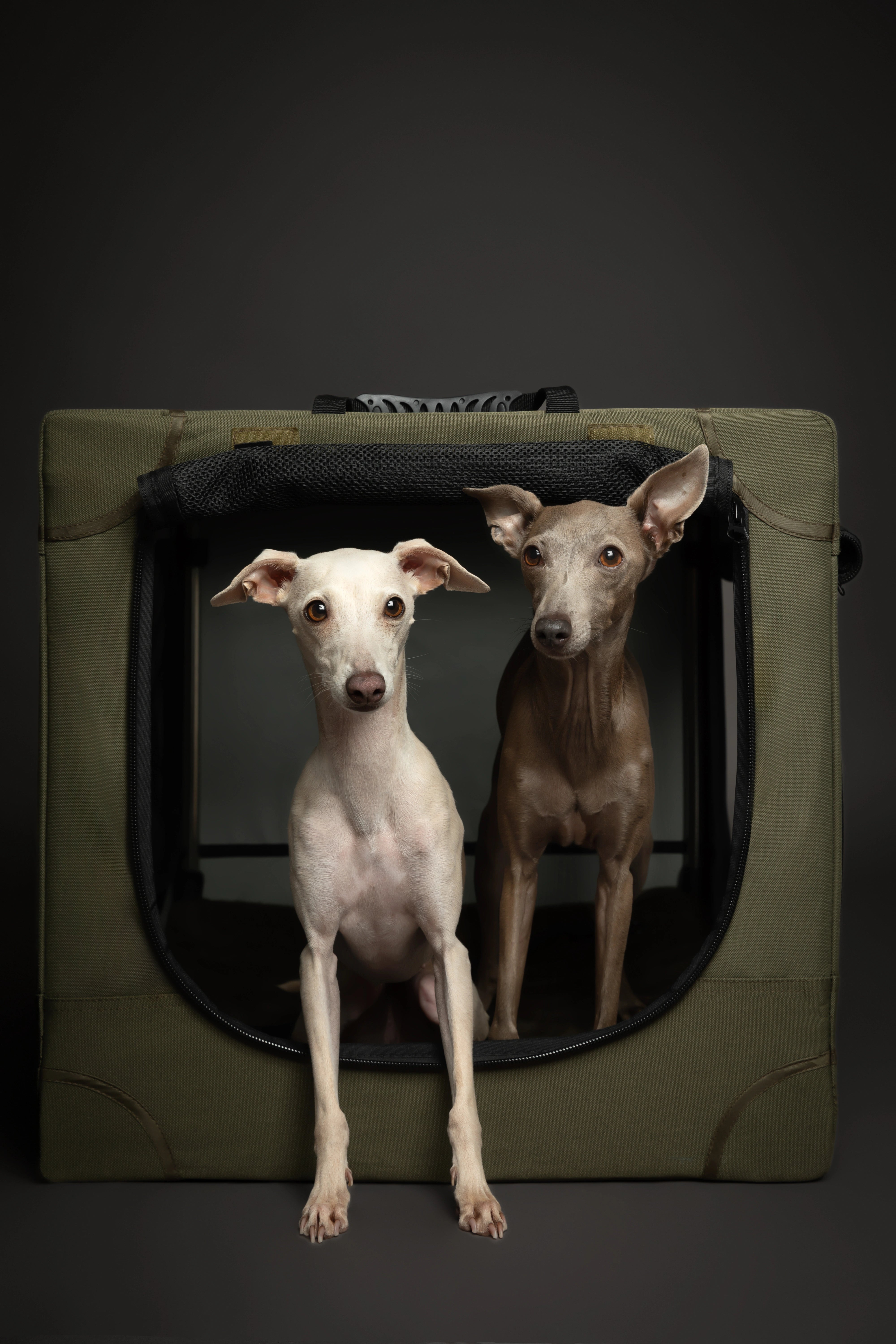 Collapsible dog crate travel | Folding pet crate comfort - Green - L