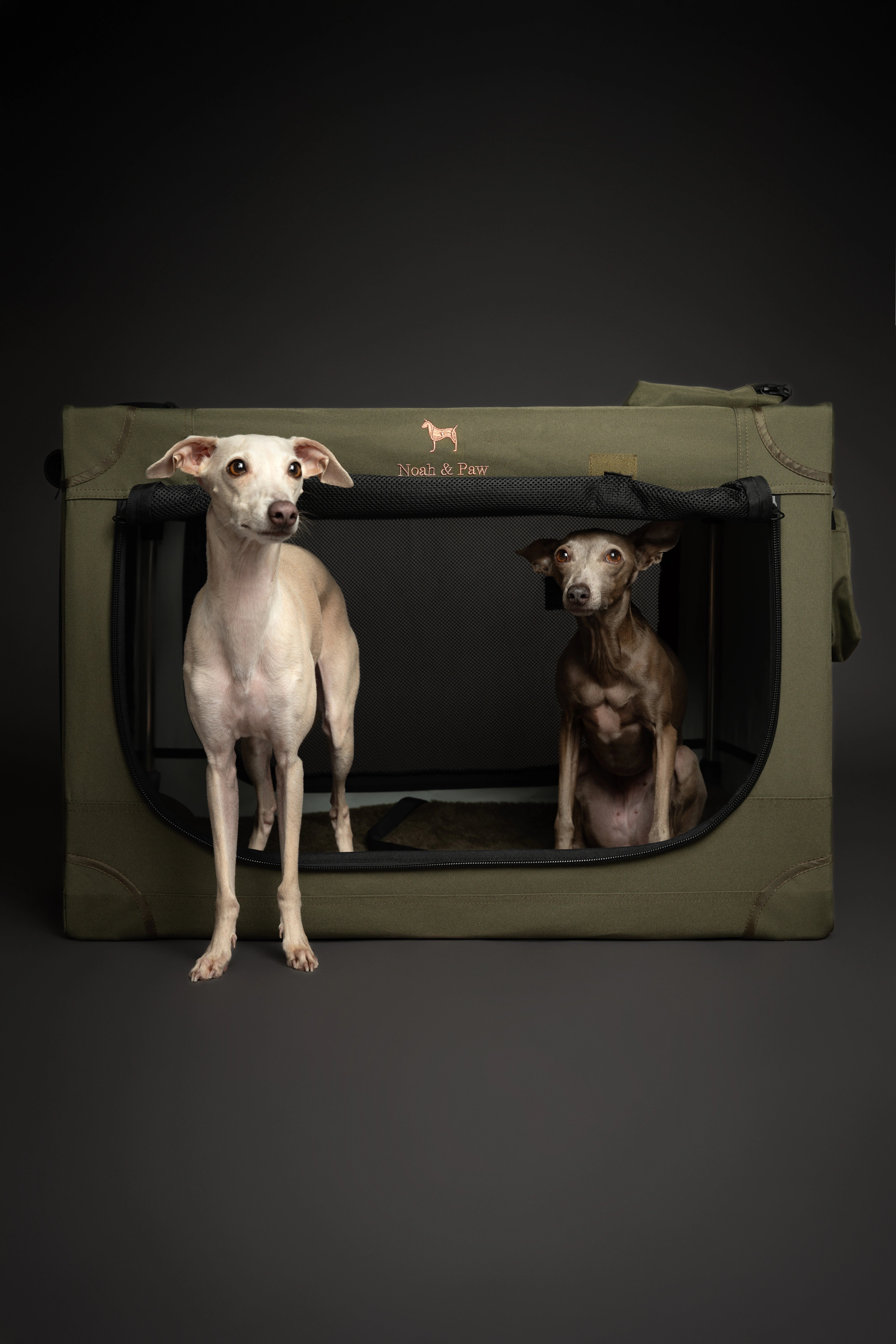 Collapsible dog crate travel | Folding pet crate comfort - Green - L