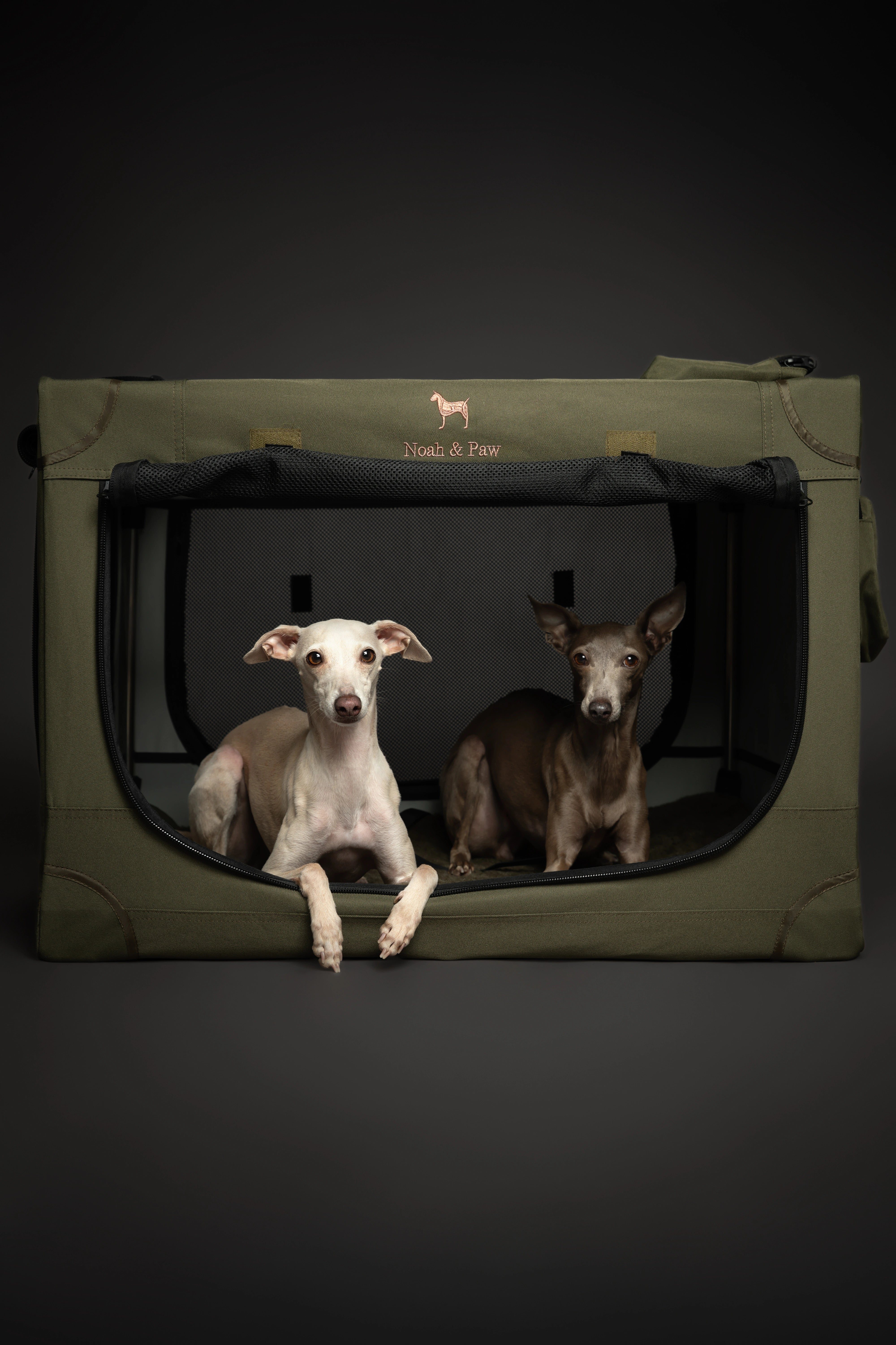 Collapsible dog crate travel | Folding pet crate comfort - Green - L