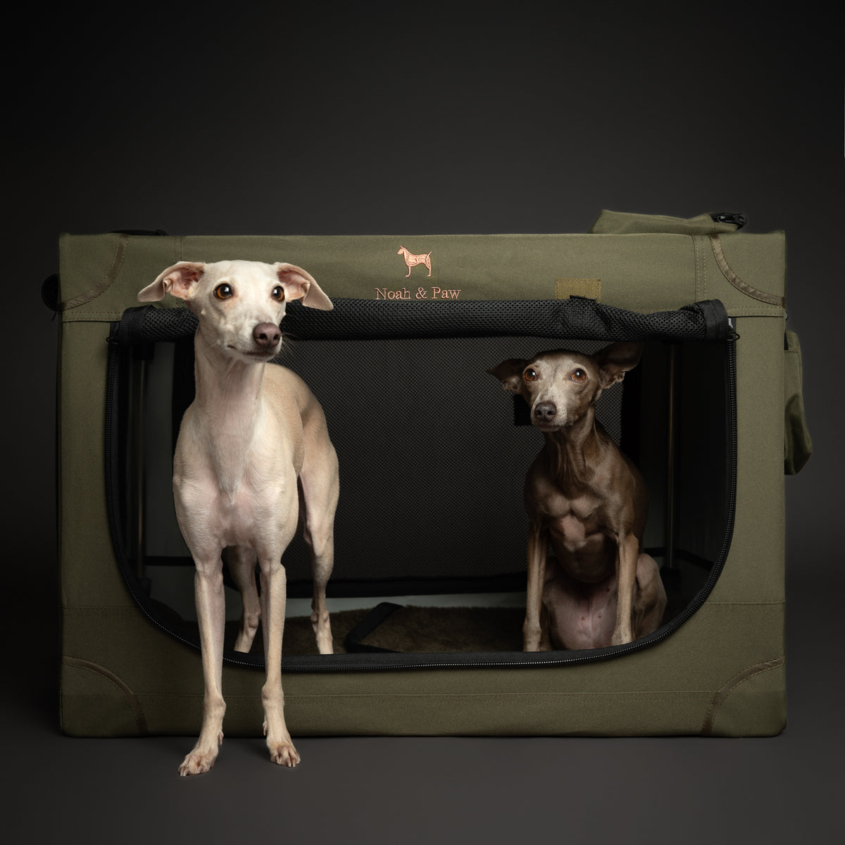 Collapsible dog crate travel | Folding pet crate comfort - Green - L