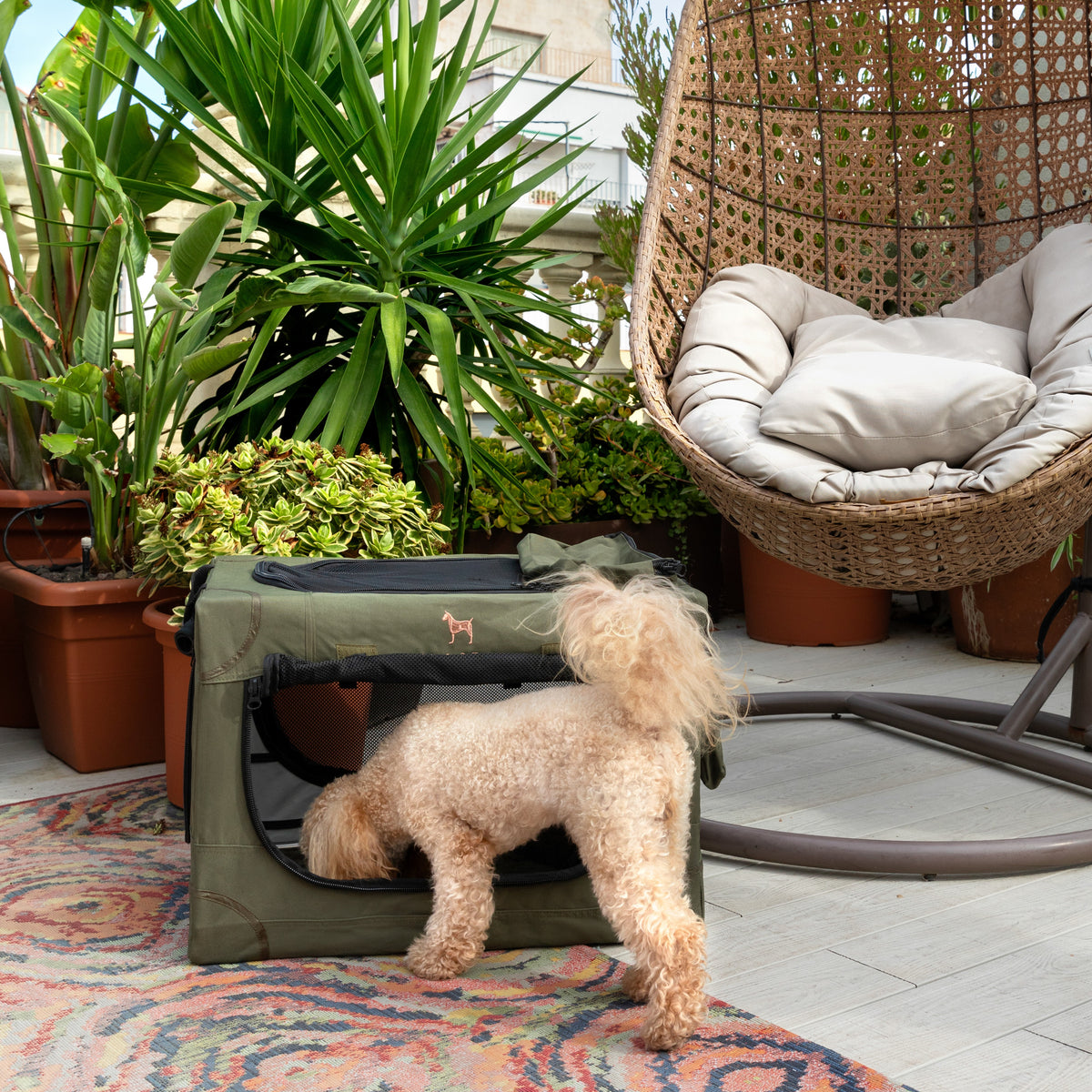 Collapsible dog crate travel | Folding pet crate comfort - Green - M