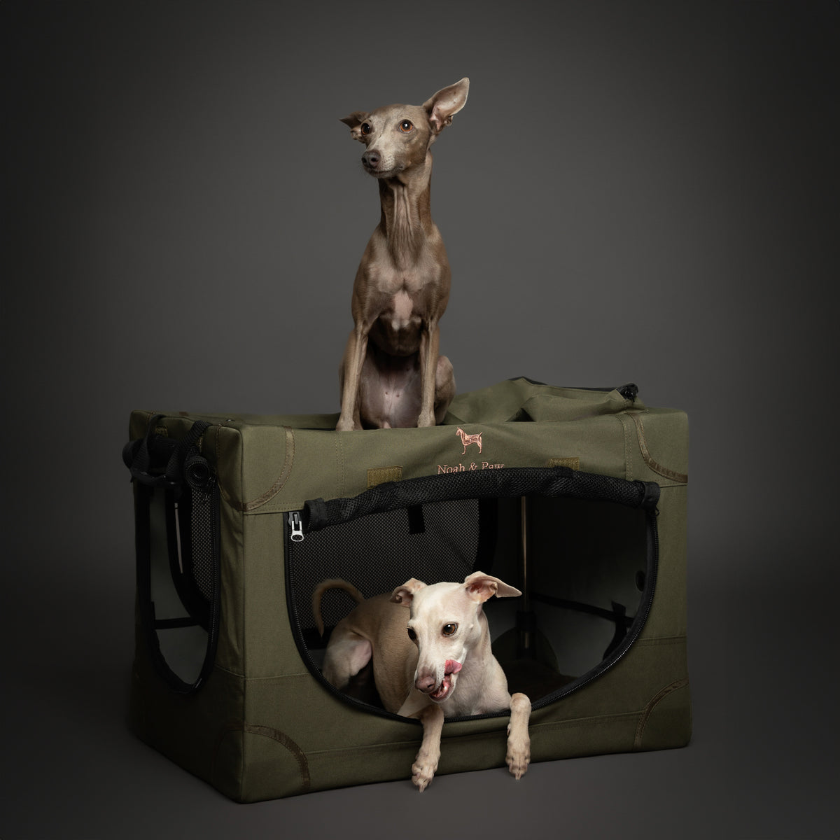 Collapsible dog crate travel | Folding pet crate comfort - Green - M