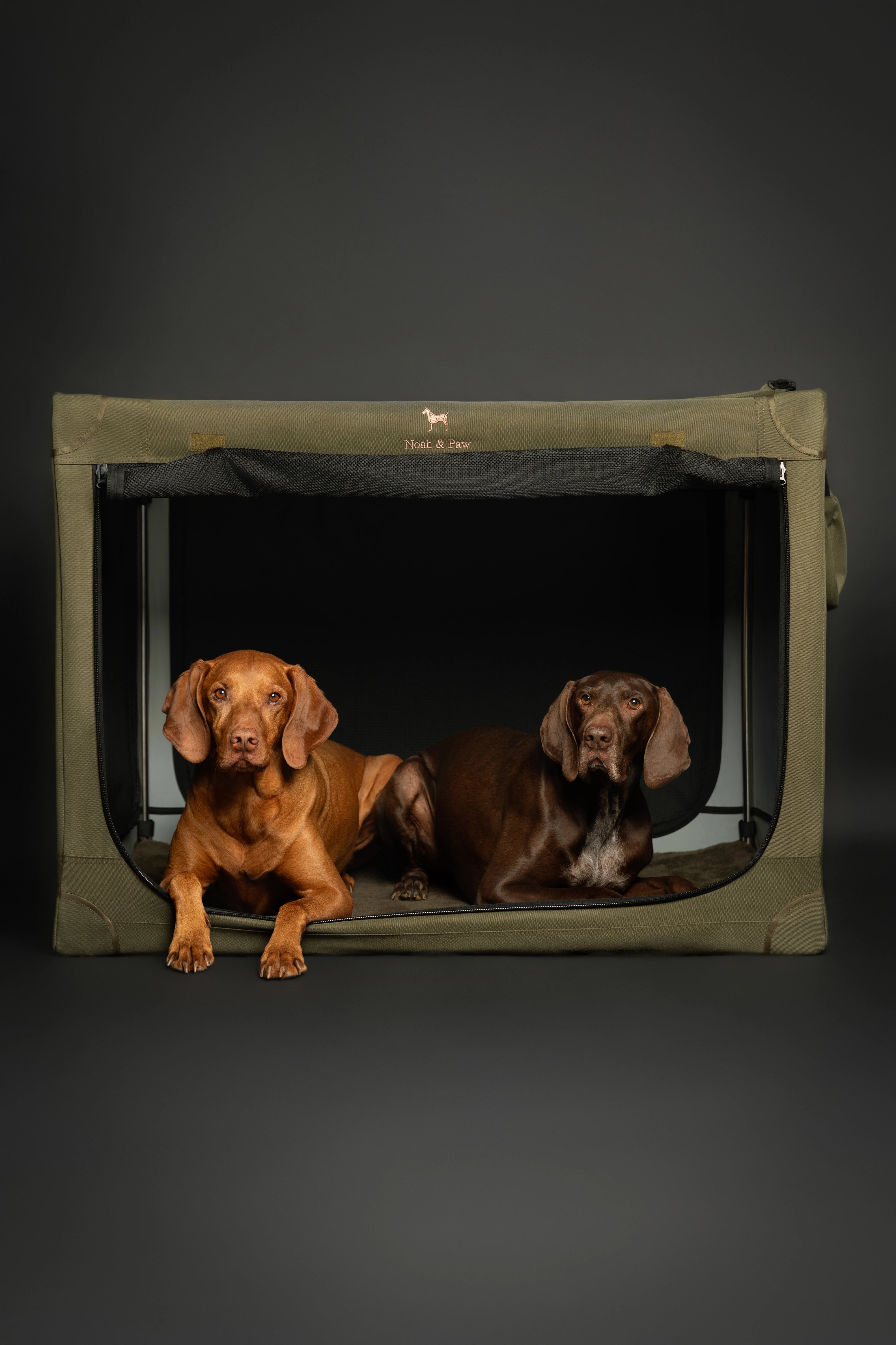 Collapsible dog crate travel | Folding pet crate comfort - Green - XL