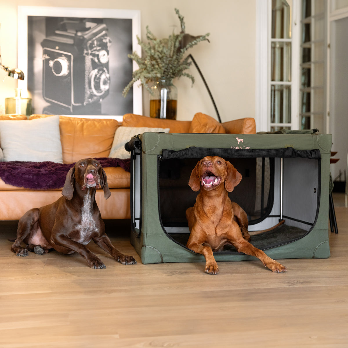 Collapsible dog crate travel | Folding pet crate comfort - Green - XL