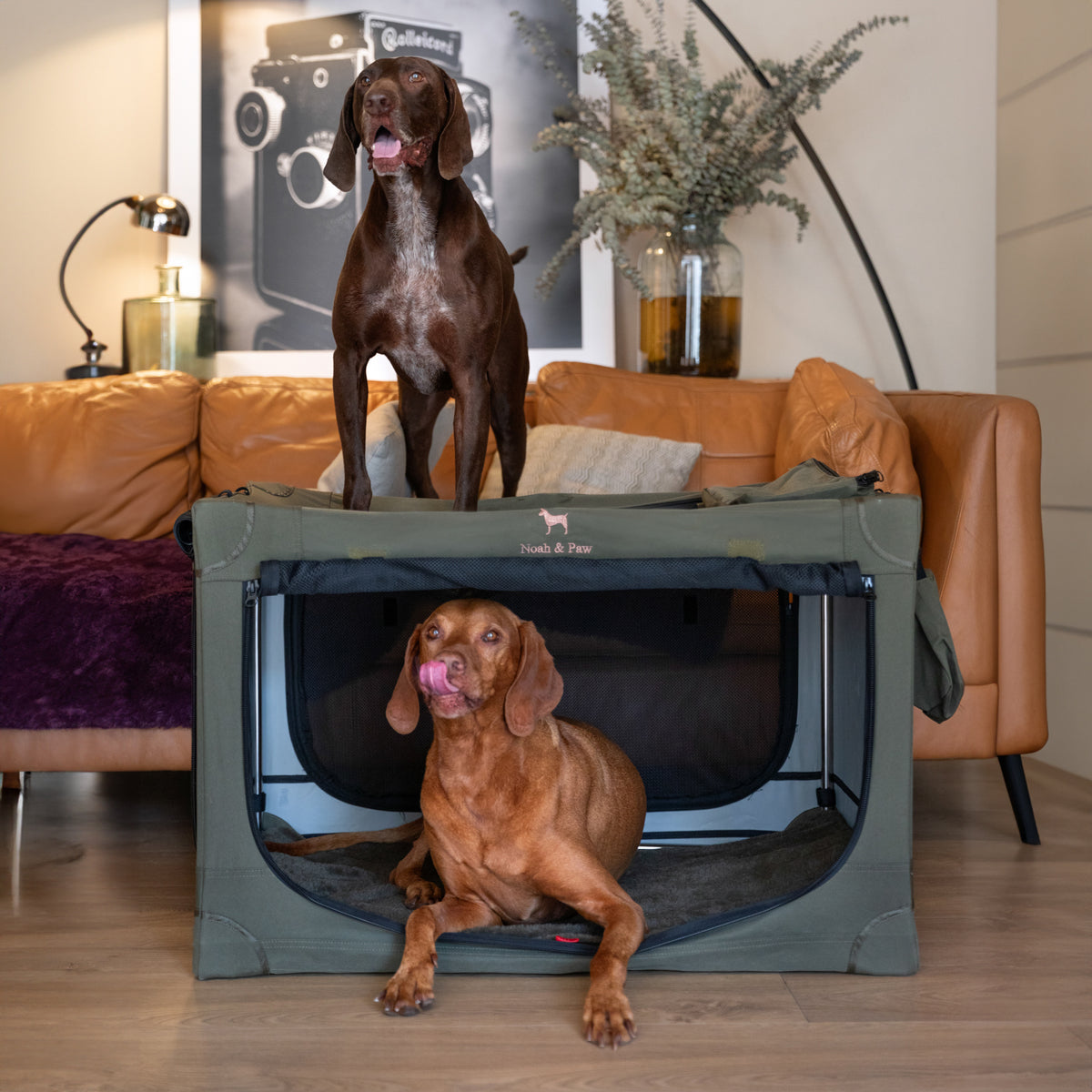Collapsible dog crate travel | Folding pet crate comfort - Green - XL