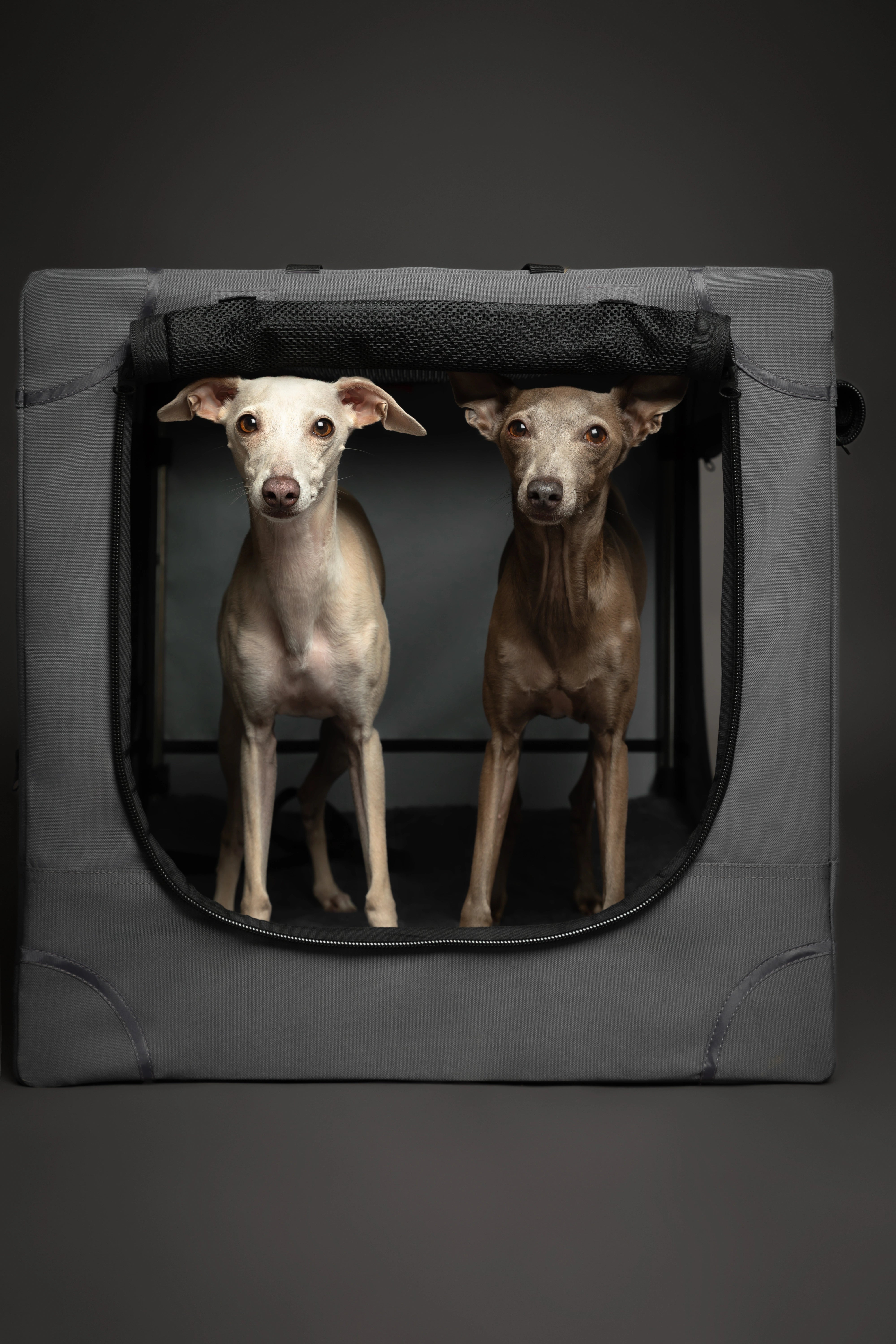 Folding travel dog crate | Collapsible pet crate comfort - Grey - L