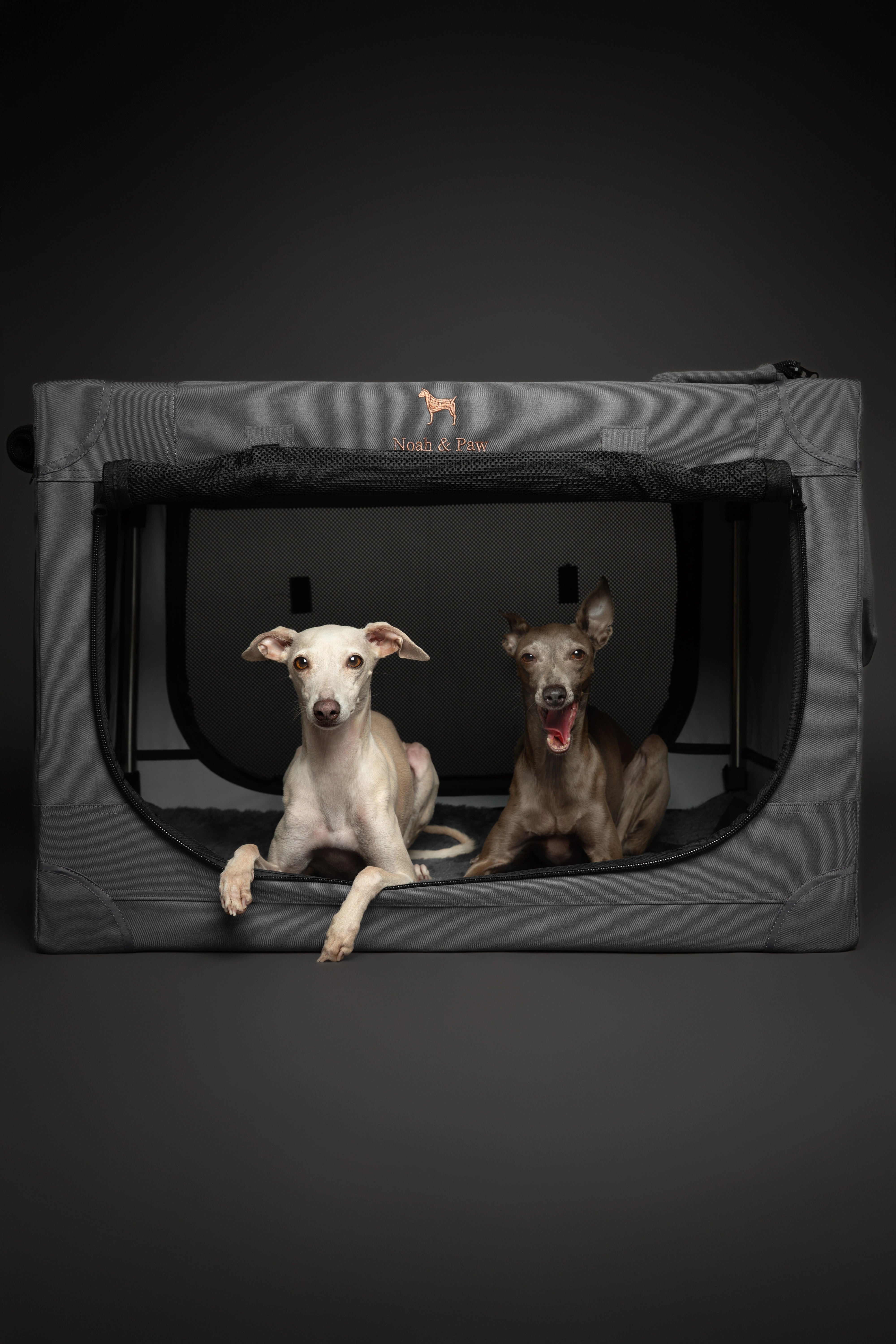 Folding travel dog crate | Collapsible pet crate comfort - Grey - L