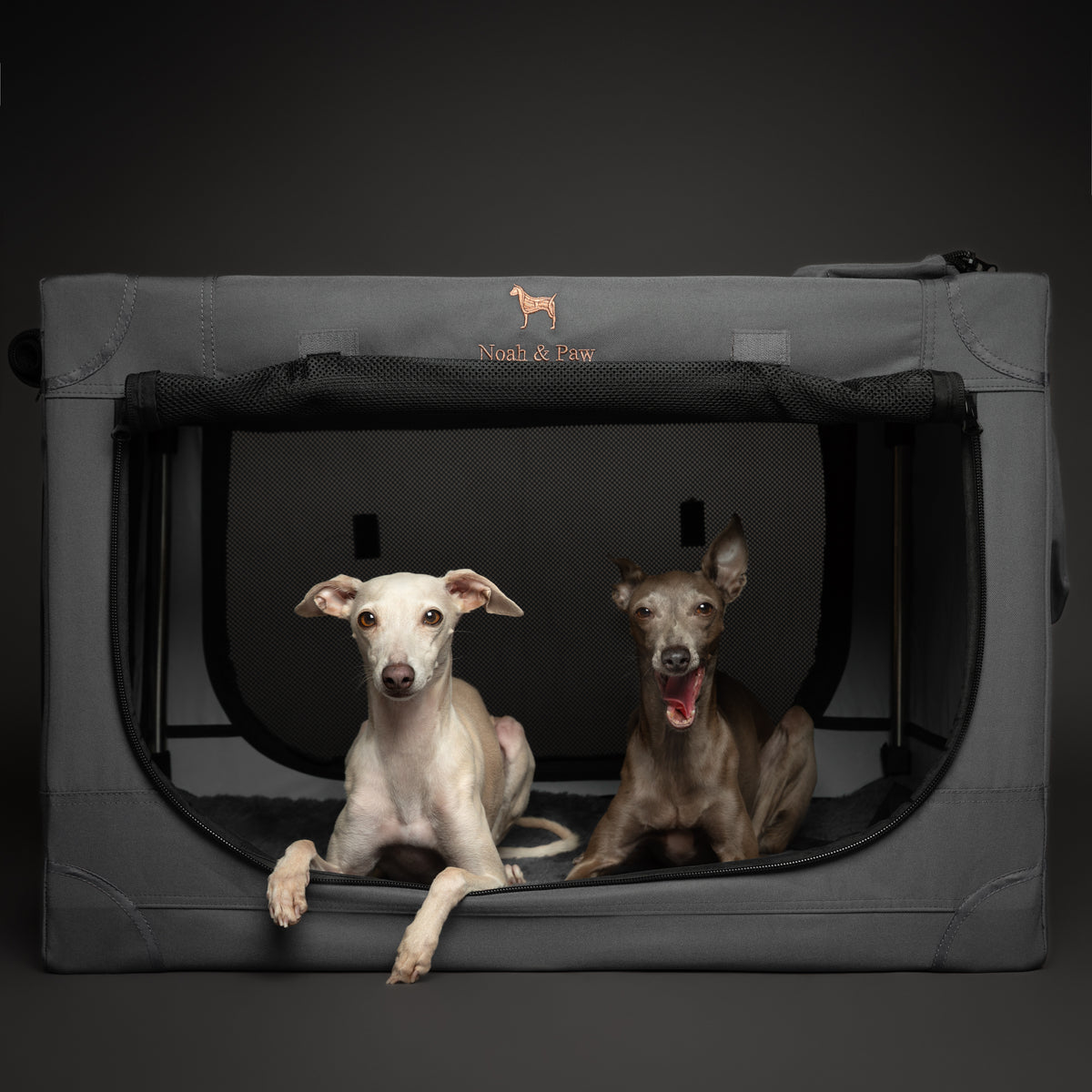Folding travel dog crate | Collapsible pet crate comfort - Grey - L