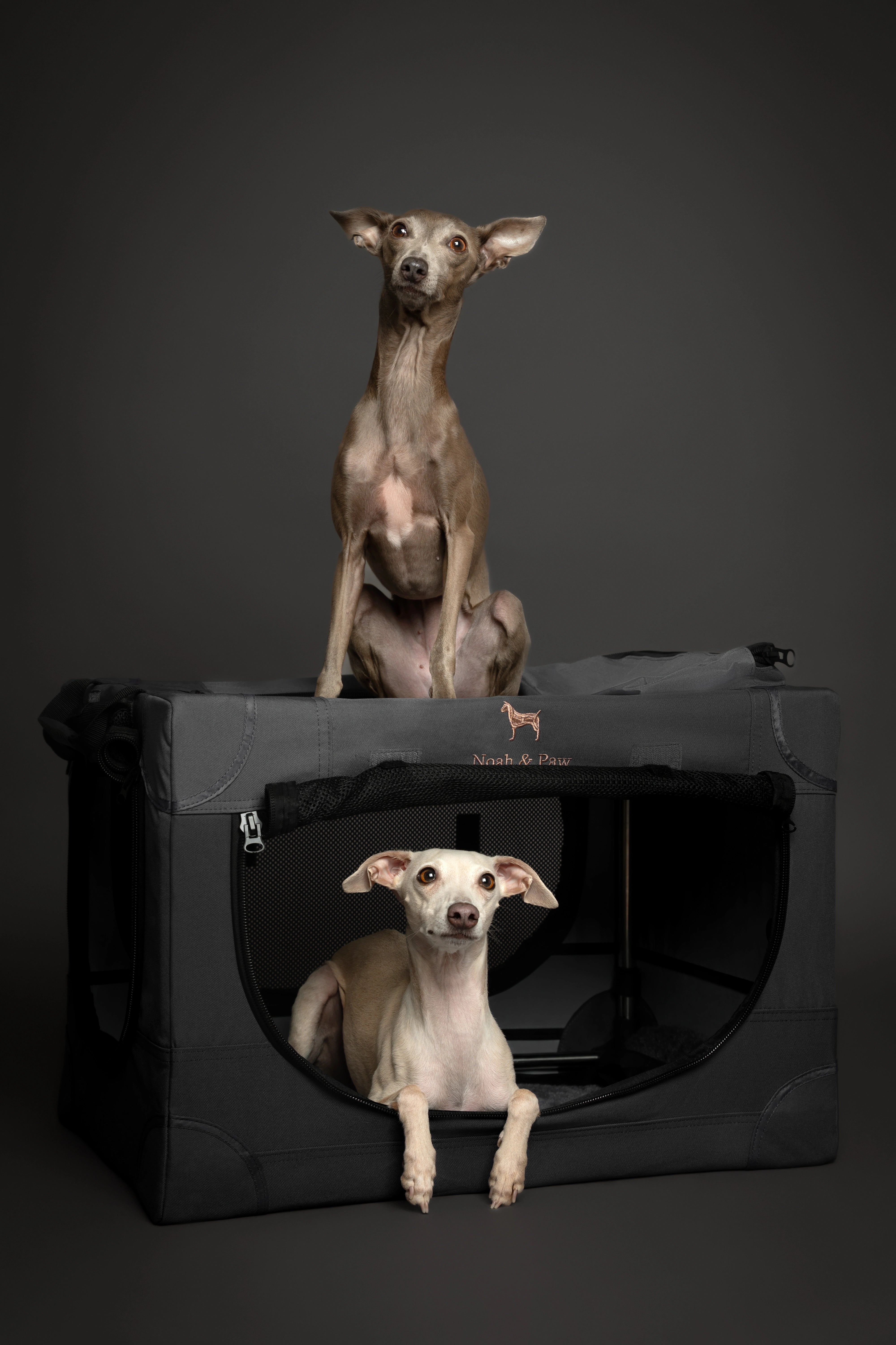 Folding travel dog crate | Collapsible pet crate comfort - Grey - M