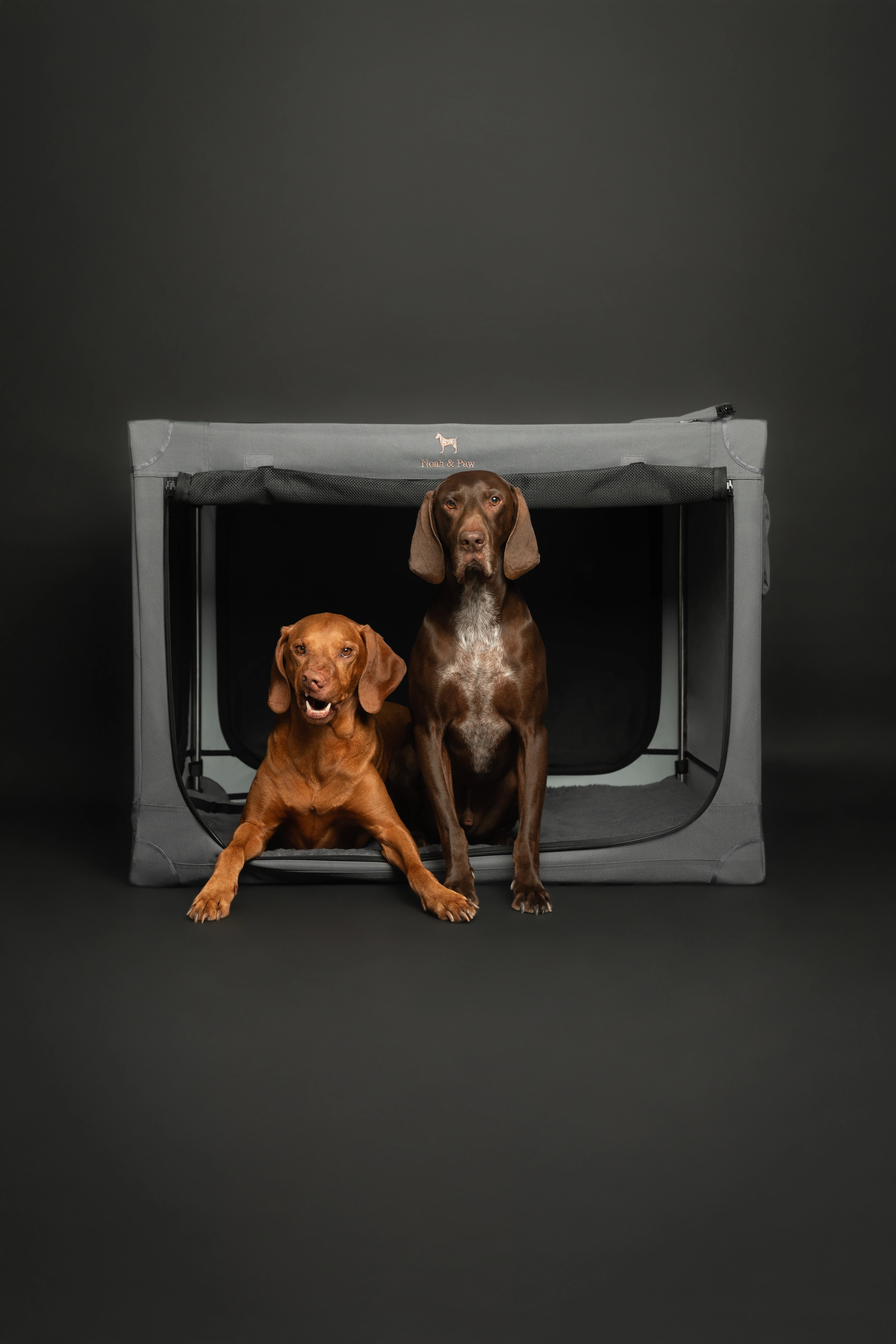 Folding travel dog crate | Collapsible pet crate comfort - Grey - XL