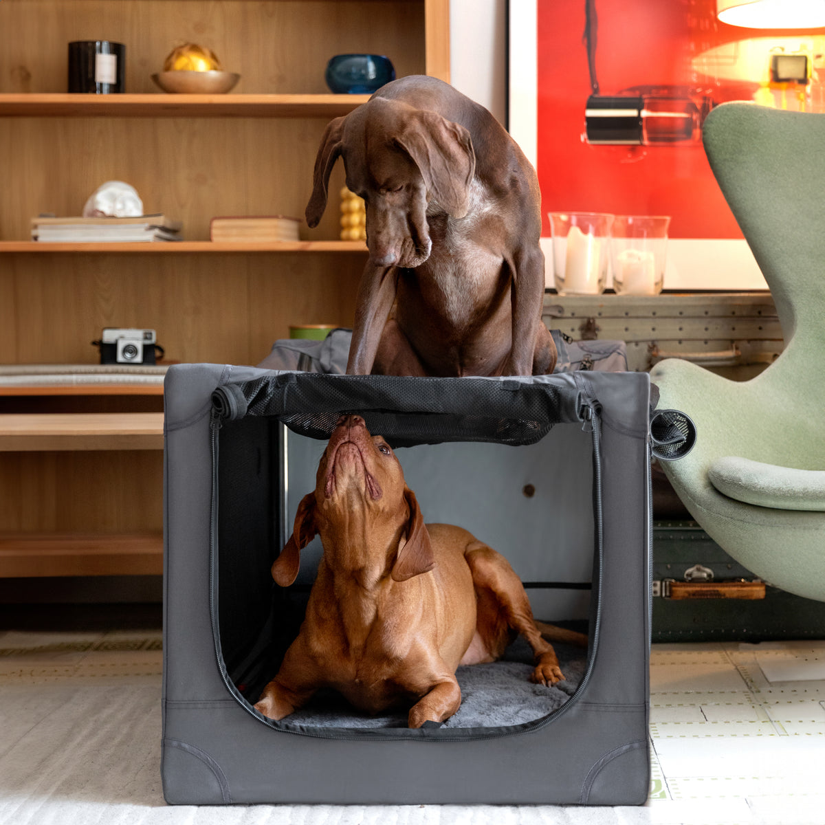 Folding travel dog crate | Collapsible pet crate comfort - Grey - XL