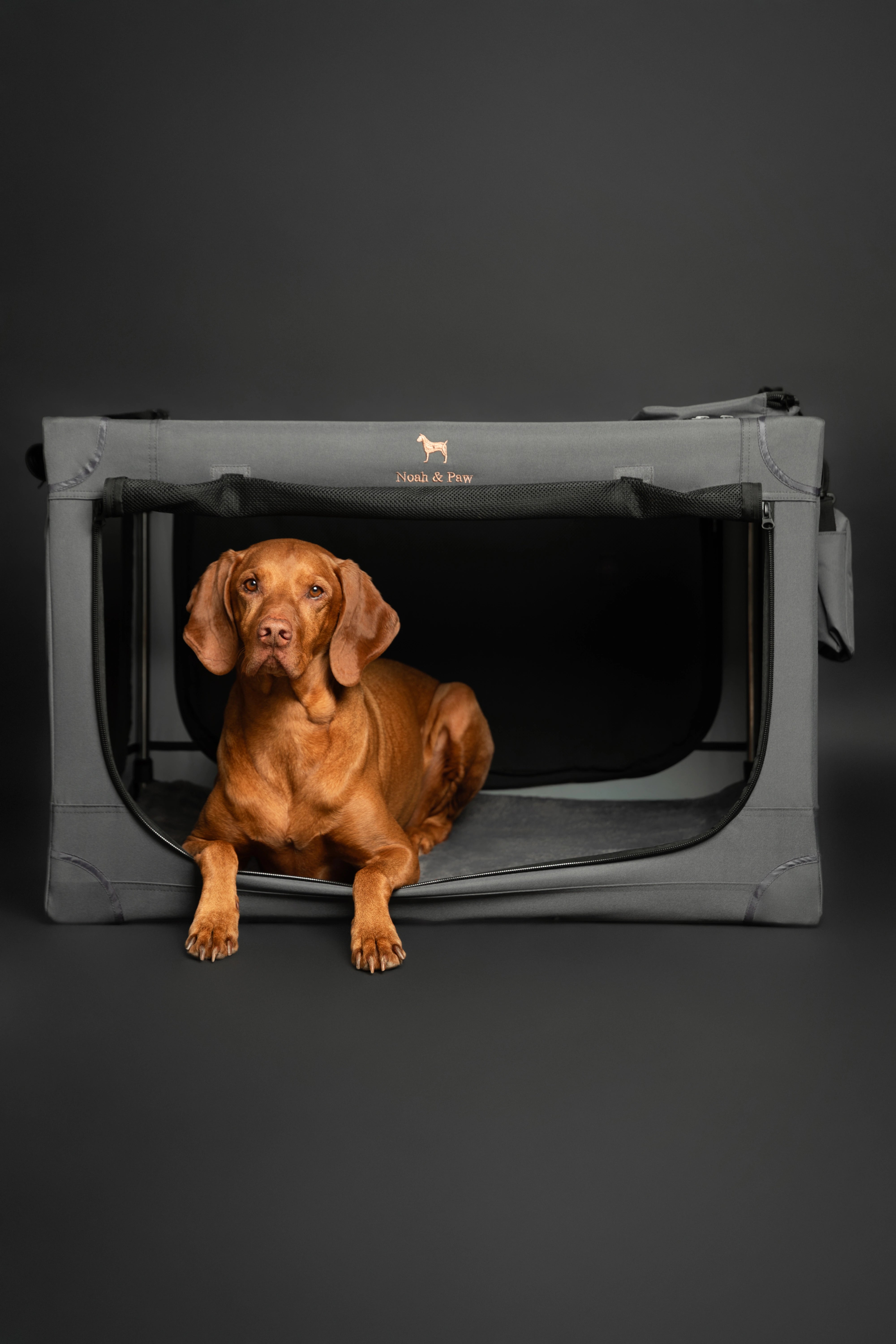 Folding travel dog crate | Collapsible pet crate comfort - Grey - XL
