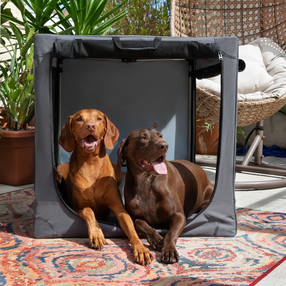 Folding travel dog crate | Collapsible pet crate comfort - Grey - XXL