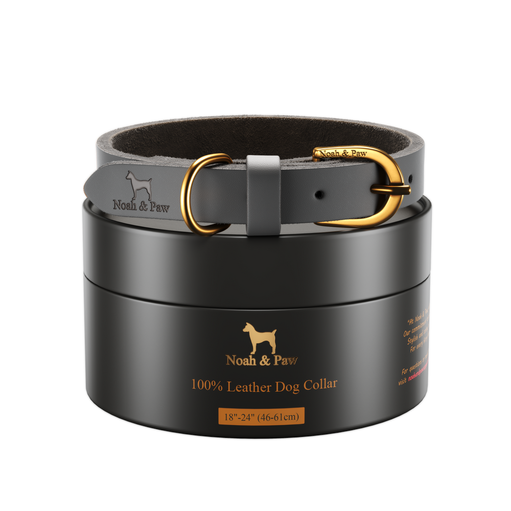 Noah & Paw genuine leather dog collar with oil-wax finish, gray, size L/XL, fits neck 18–24 in