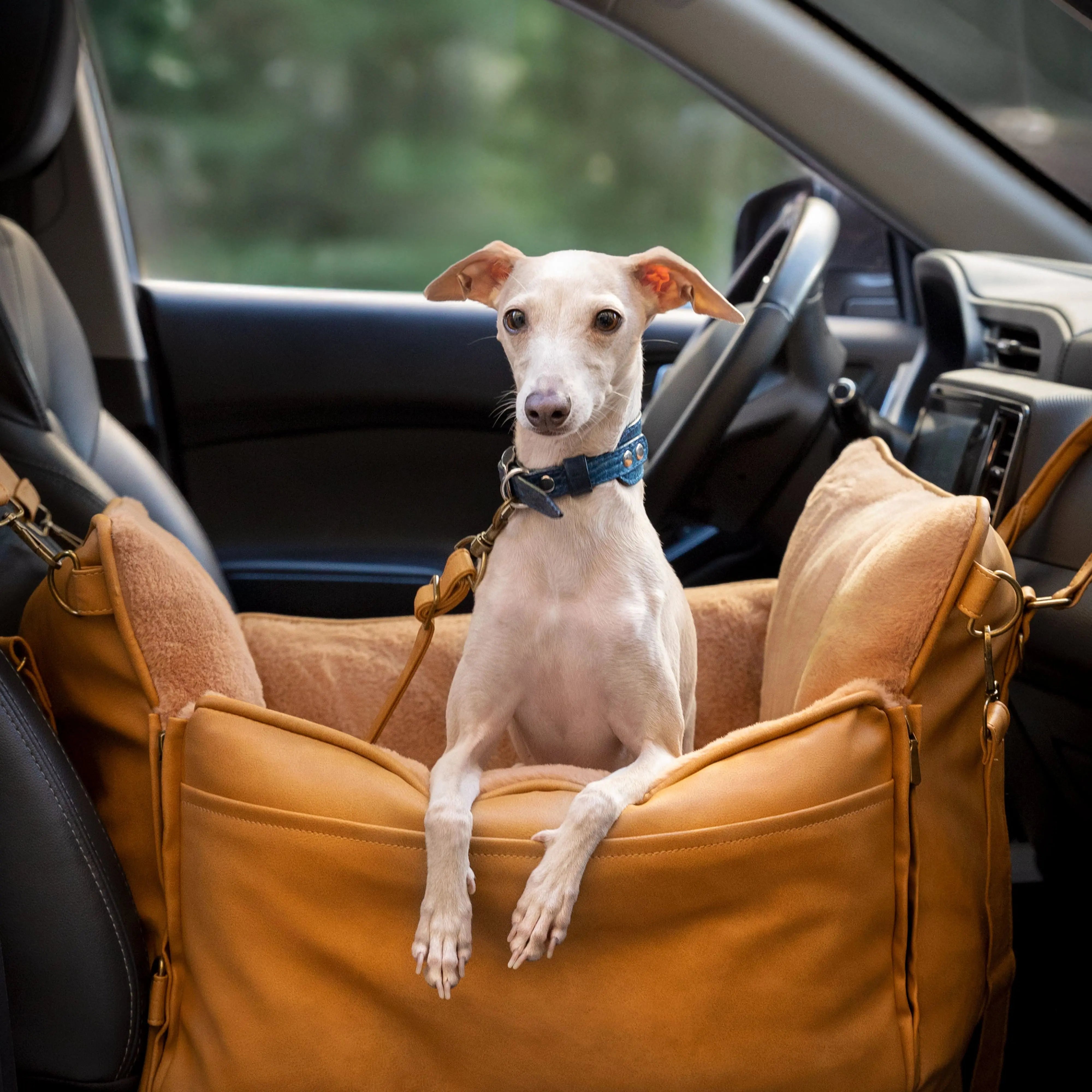 Pet Car Seat Category