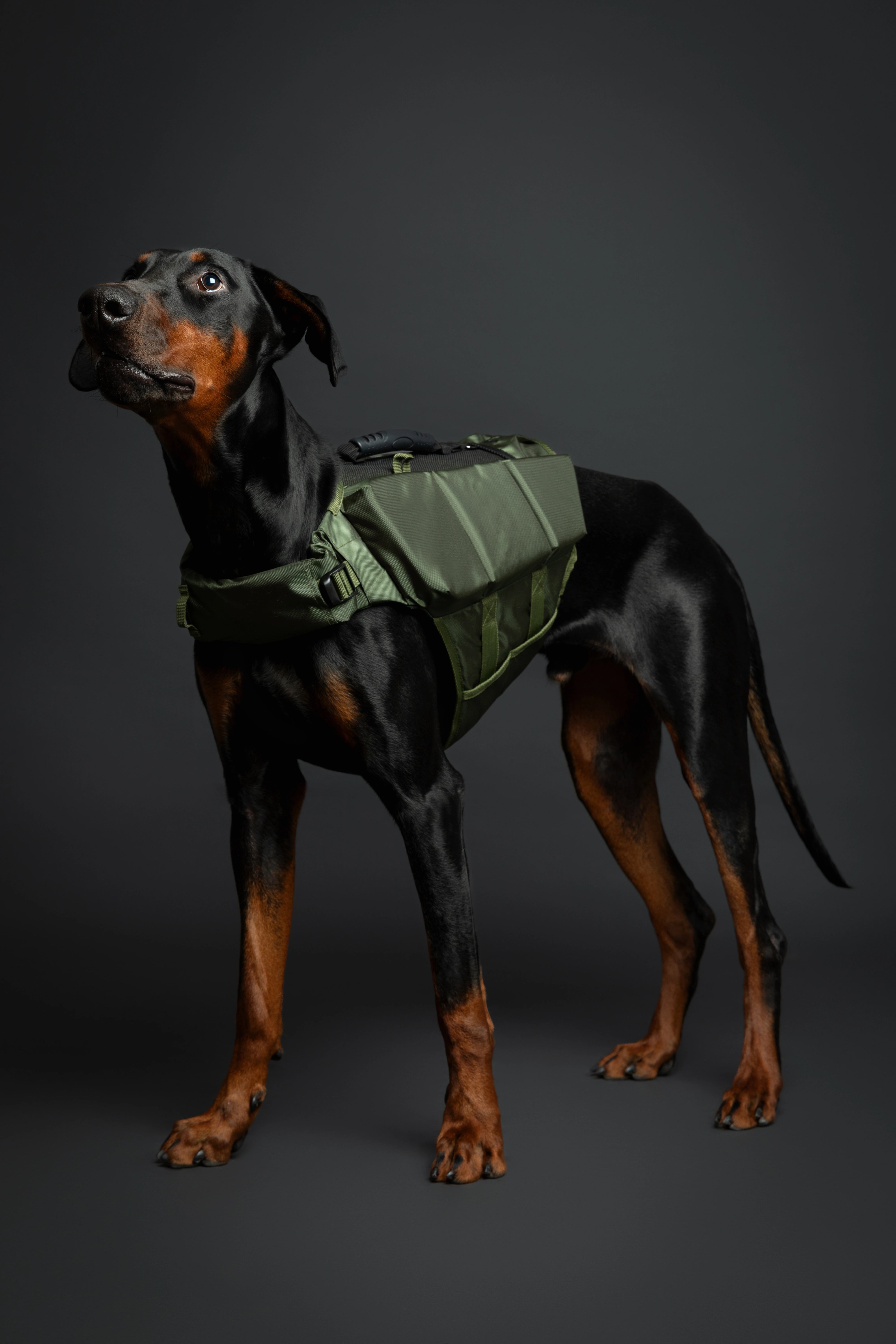 Dog Life Jacket Green x3 cubes foam L