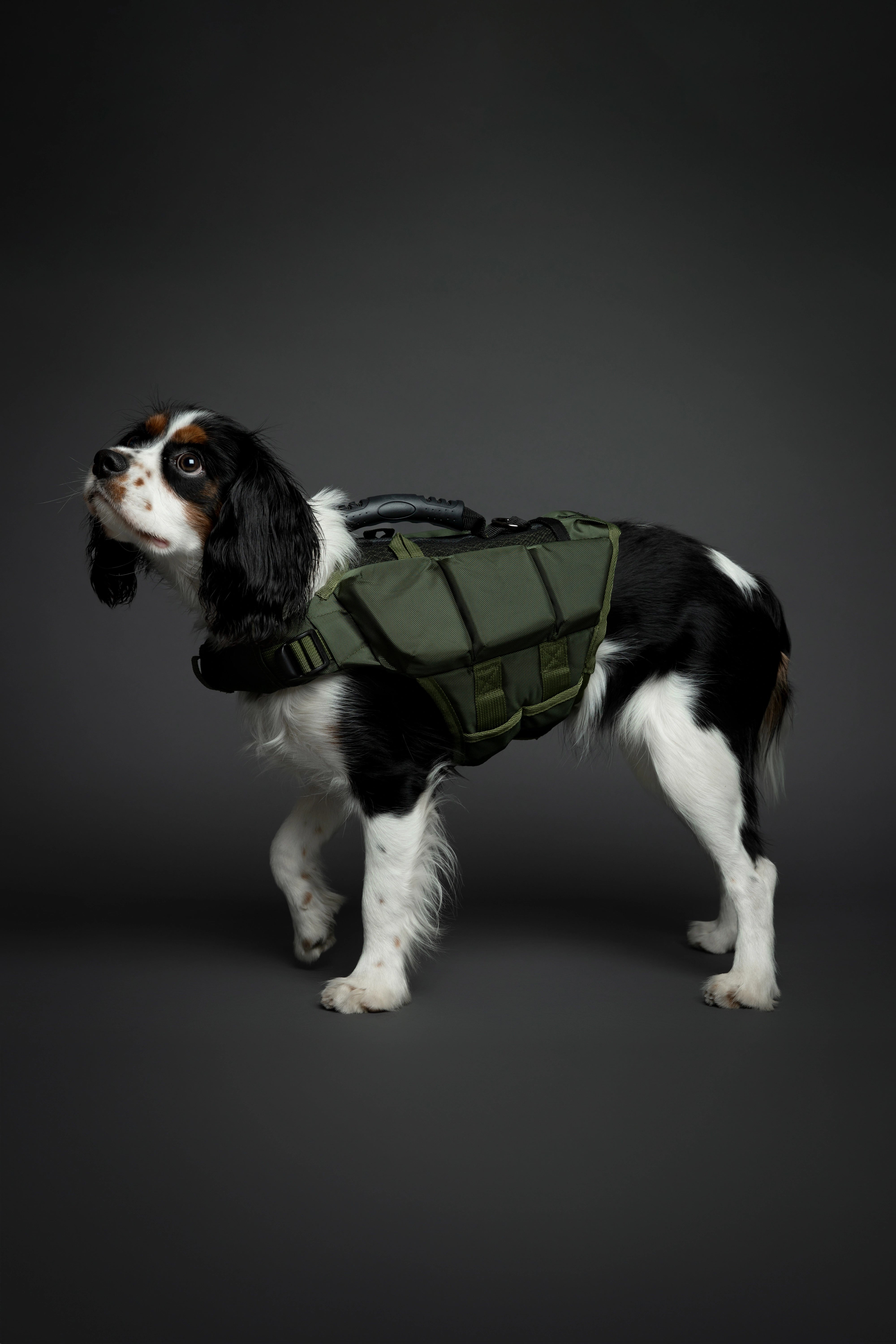 Dog Life Jacket Green x3 cubes foam M