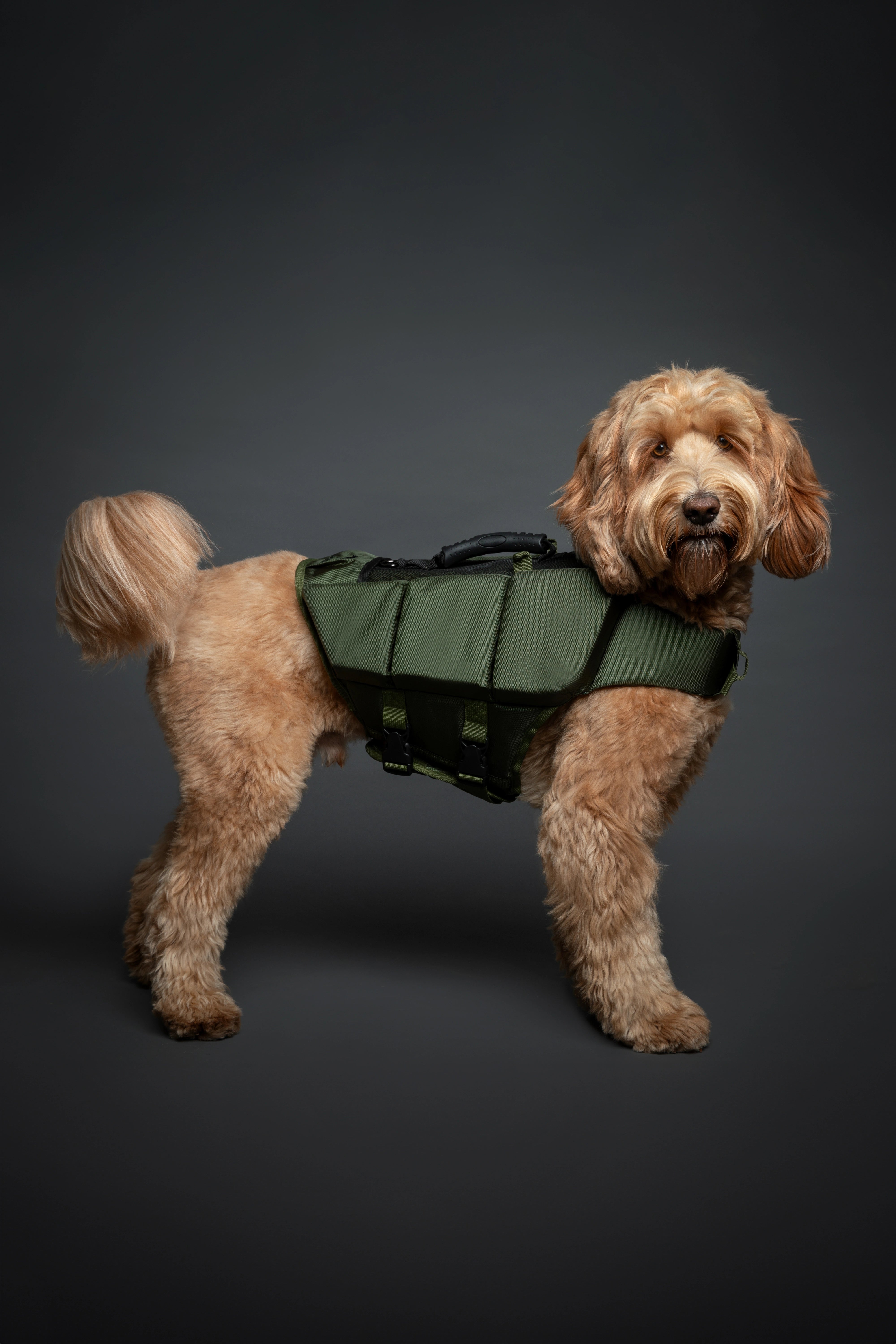 Dog Life Jacket Green x3 cubes foam M