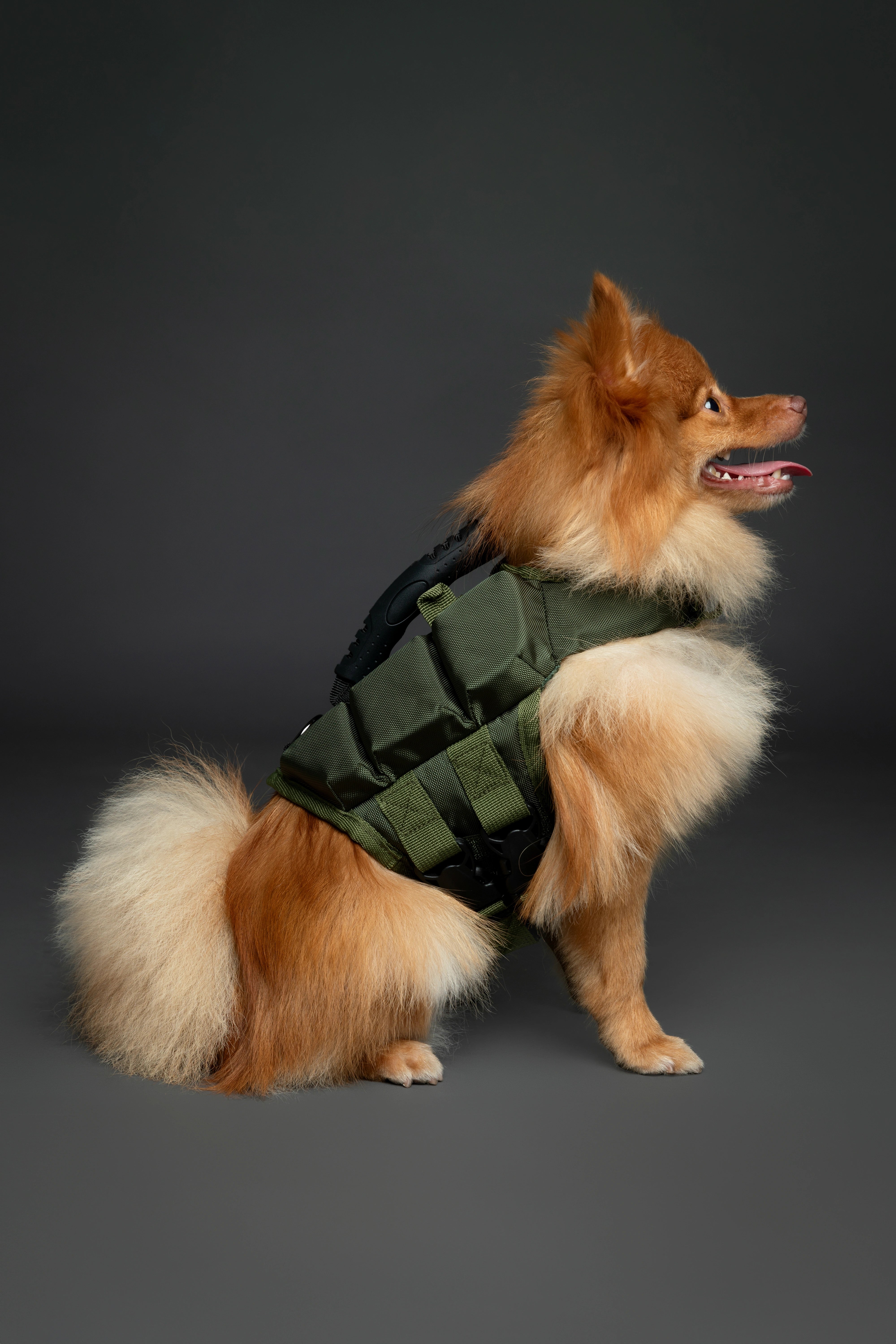 Dog Life Jacket Green x3 cubes foam S