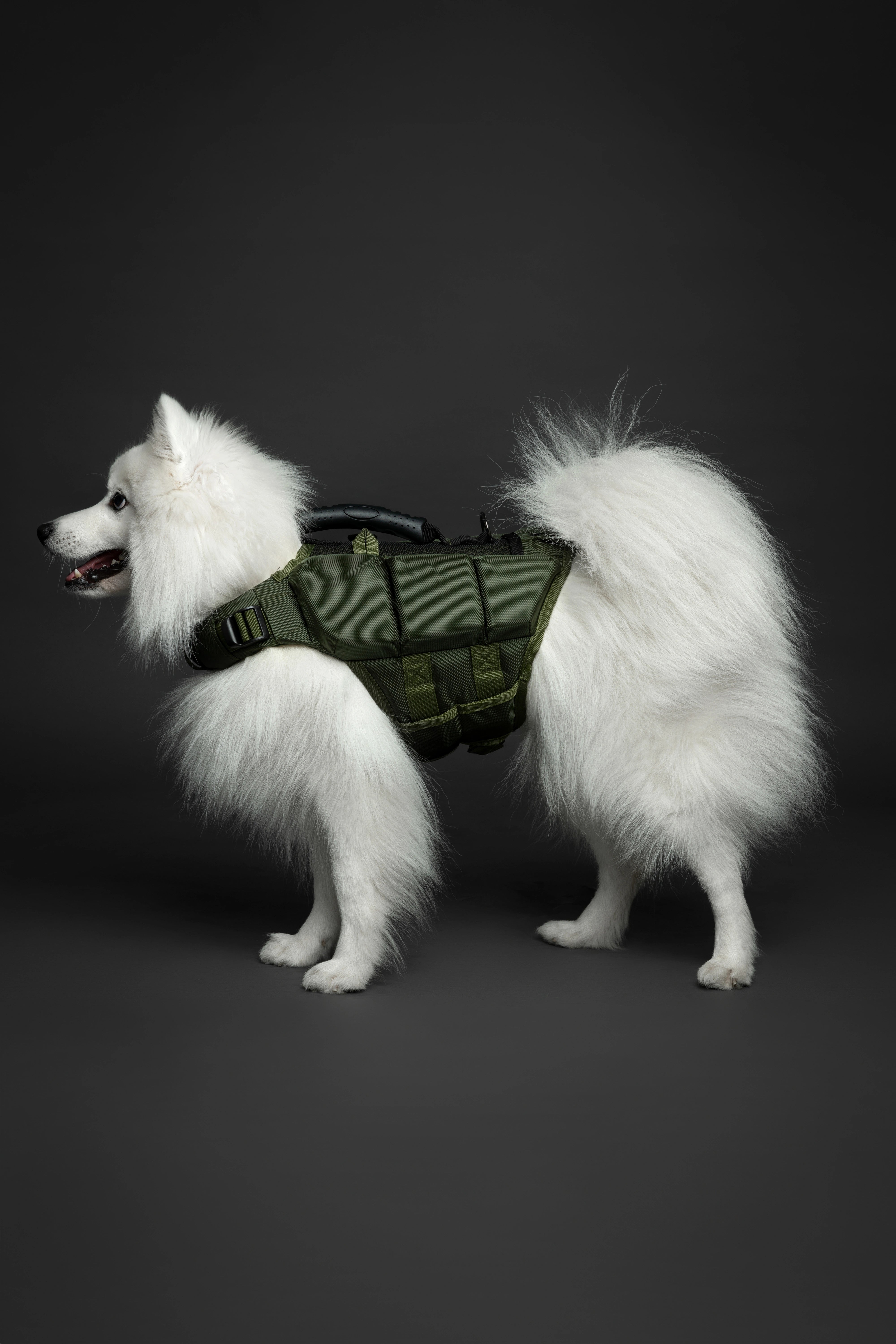 Dog Life Jacket Green x3 cubes foam S