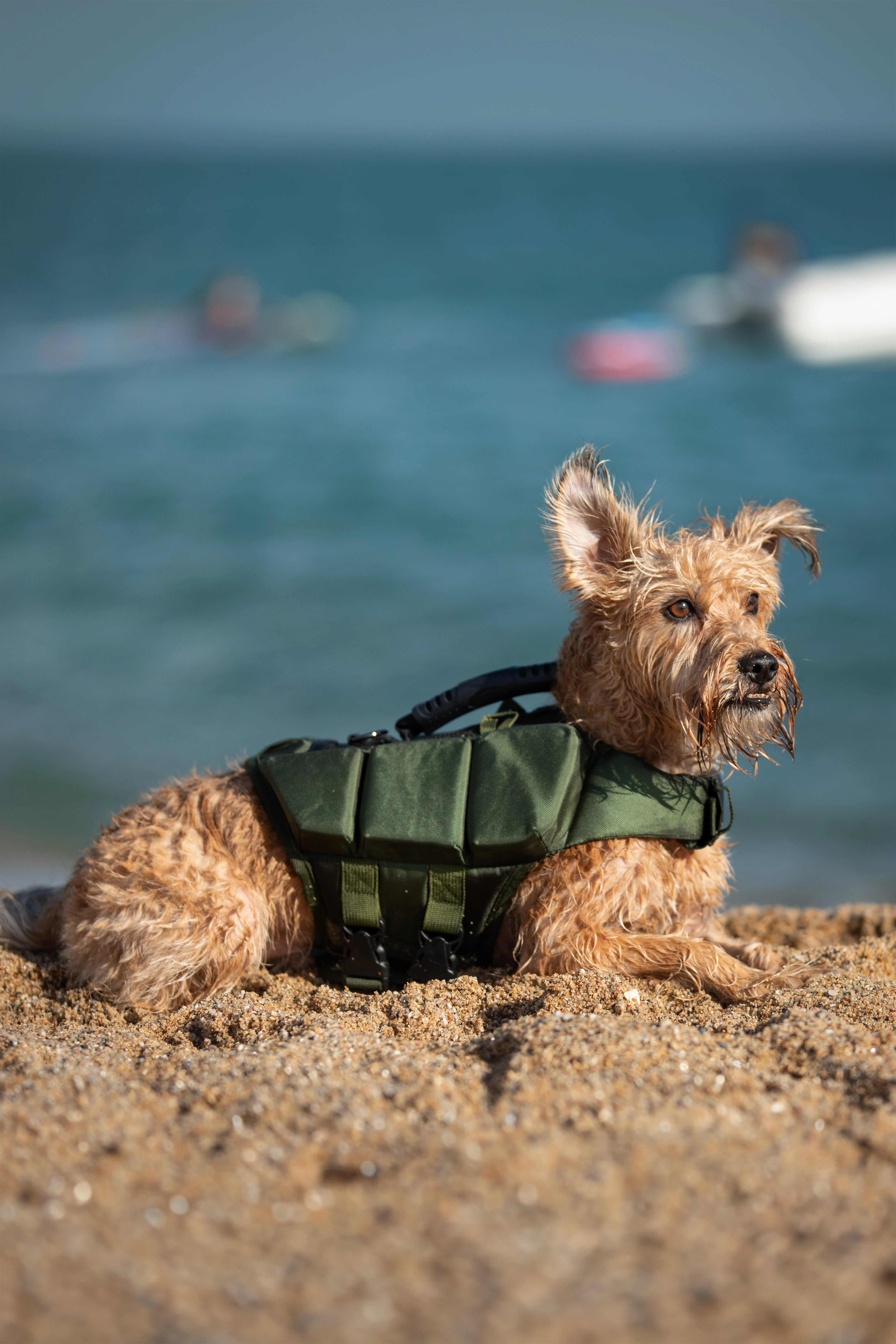 Dog Life Jacket Green x3 cubes foam S