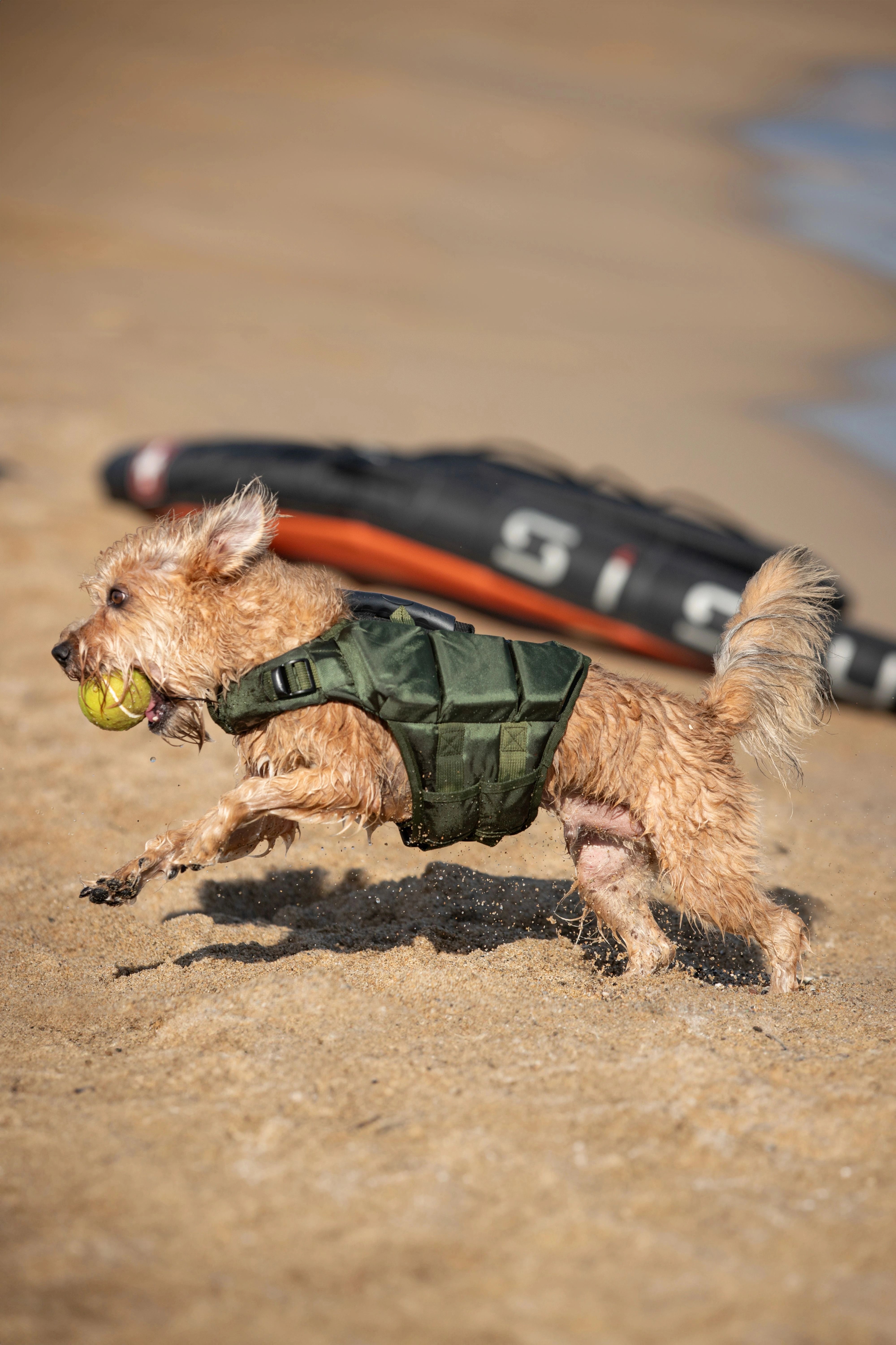 Dog Life Jacket Green x3 cubes foam S