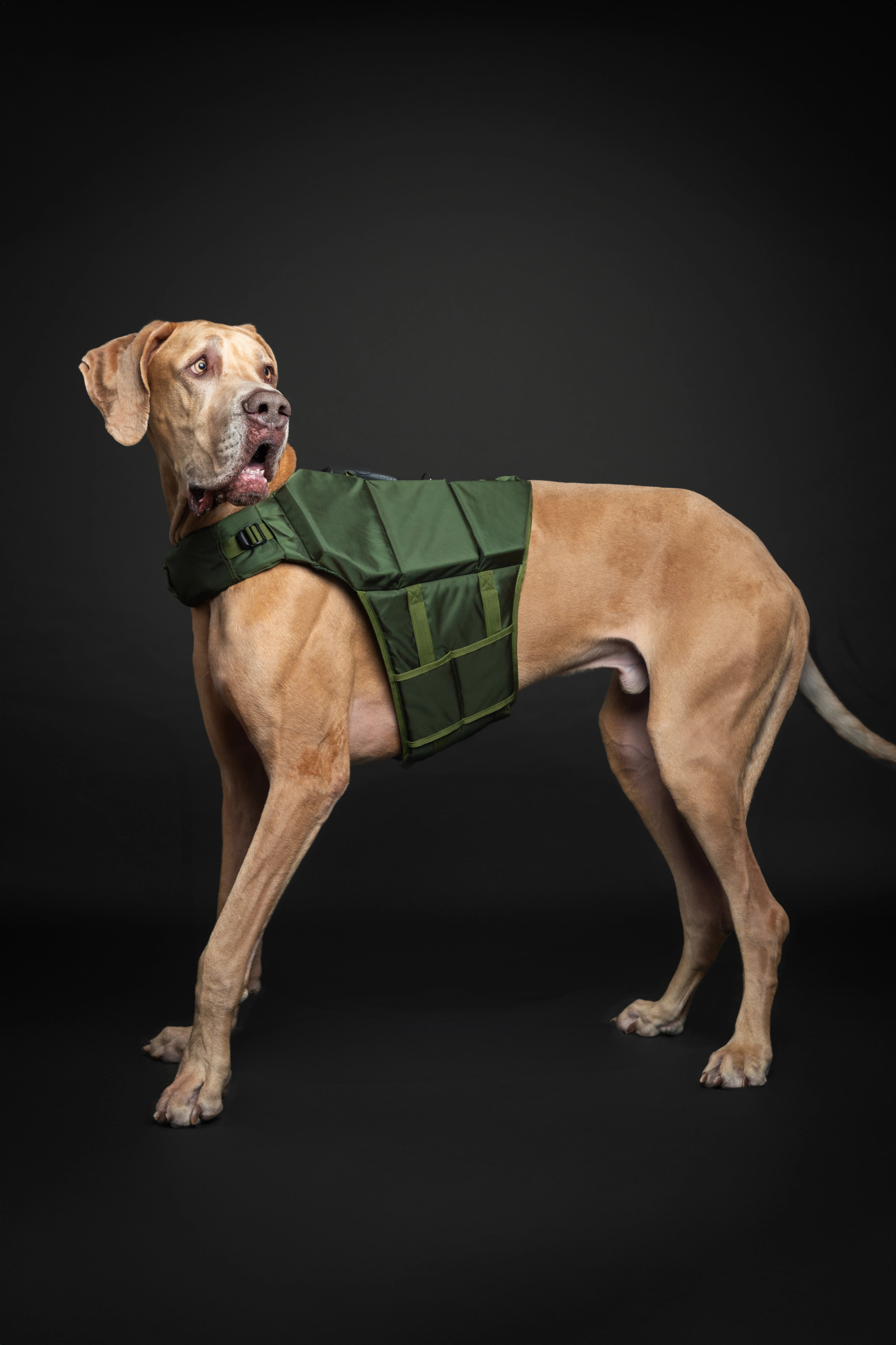 Dog Life Jacket Green x3 cubes foam XL