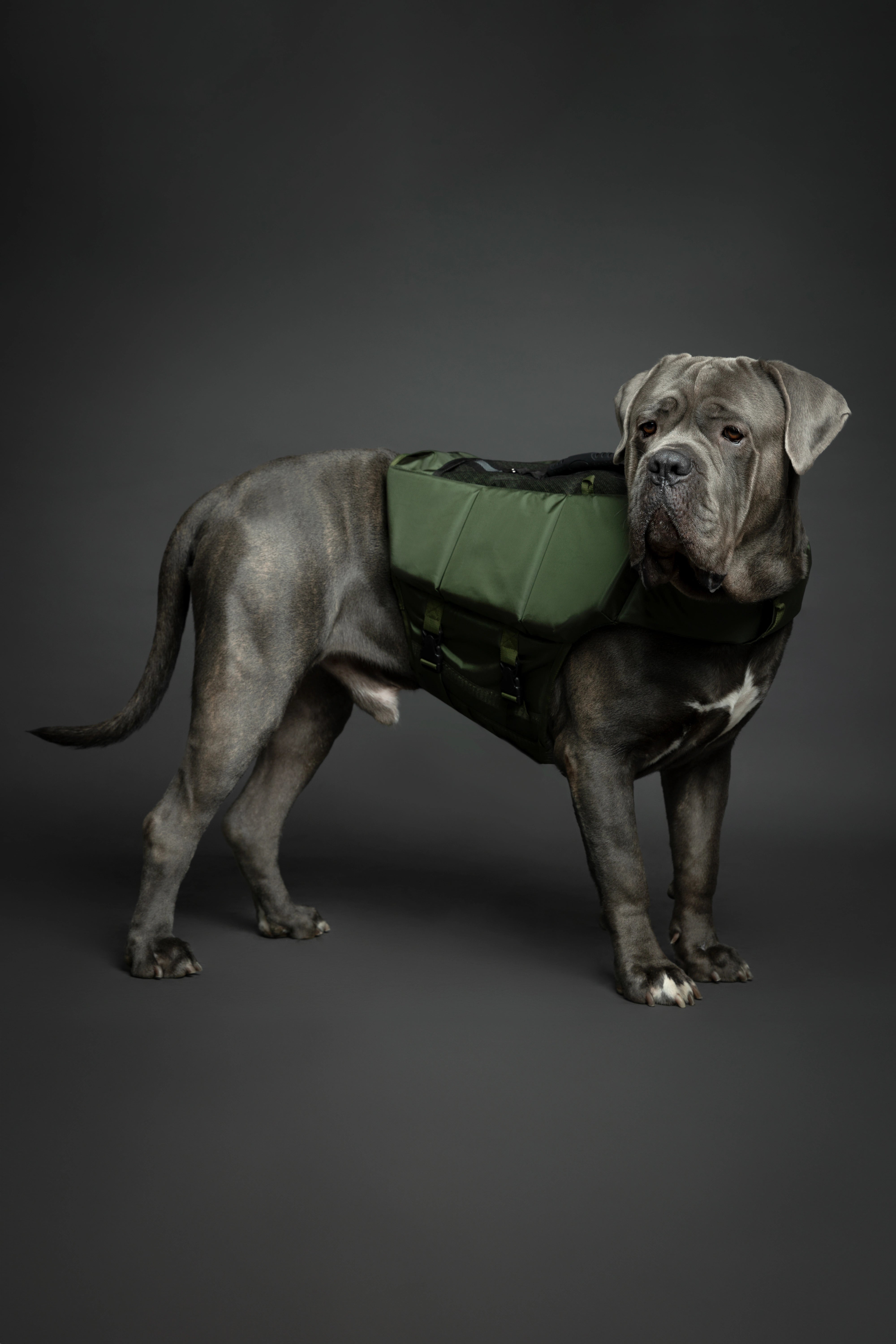 Dog Life Jacket Green x3 cubes foam XL